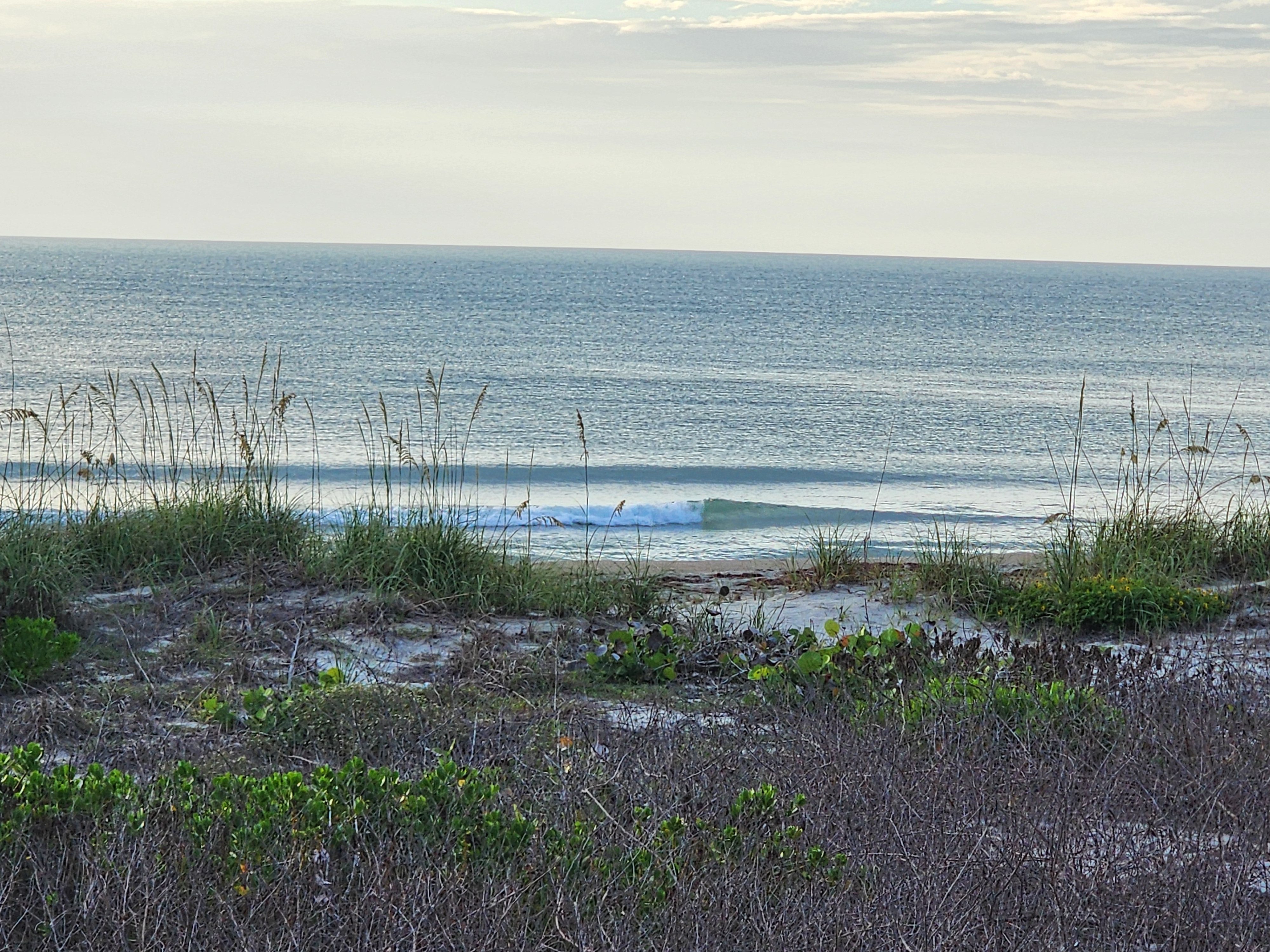 Clean little longboard wave breaking in turquoise water through sea oats at South Cocoa Beach calm morning