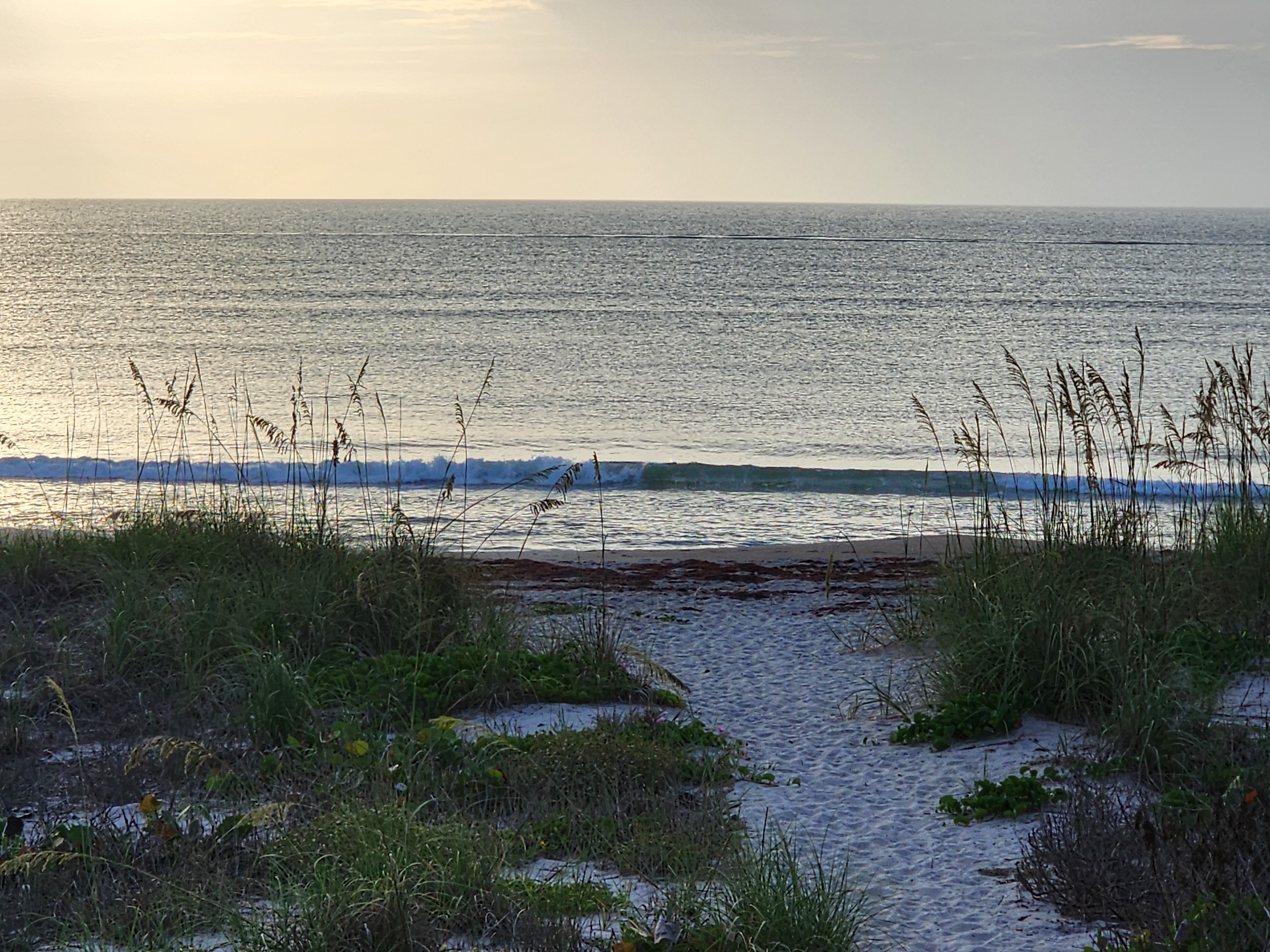 Clean wave breaking through sea oat-framed beach path with sargassum on sand at South Cocoa Beach best surf spot