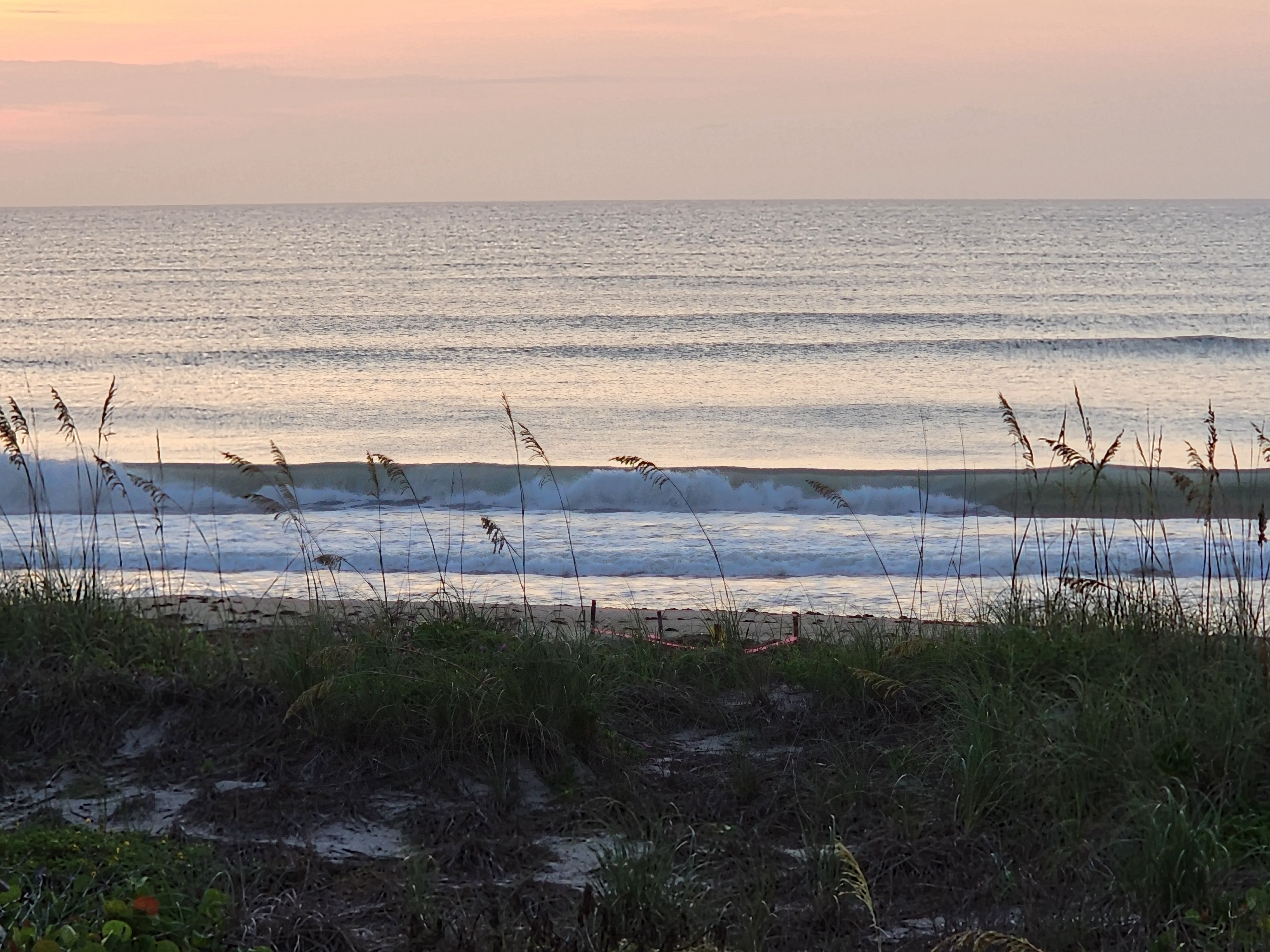Lined-up swell stacking with pink dawn sky and sea oats at South Cocoa Beach surf alert NE groundswell