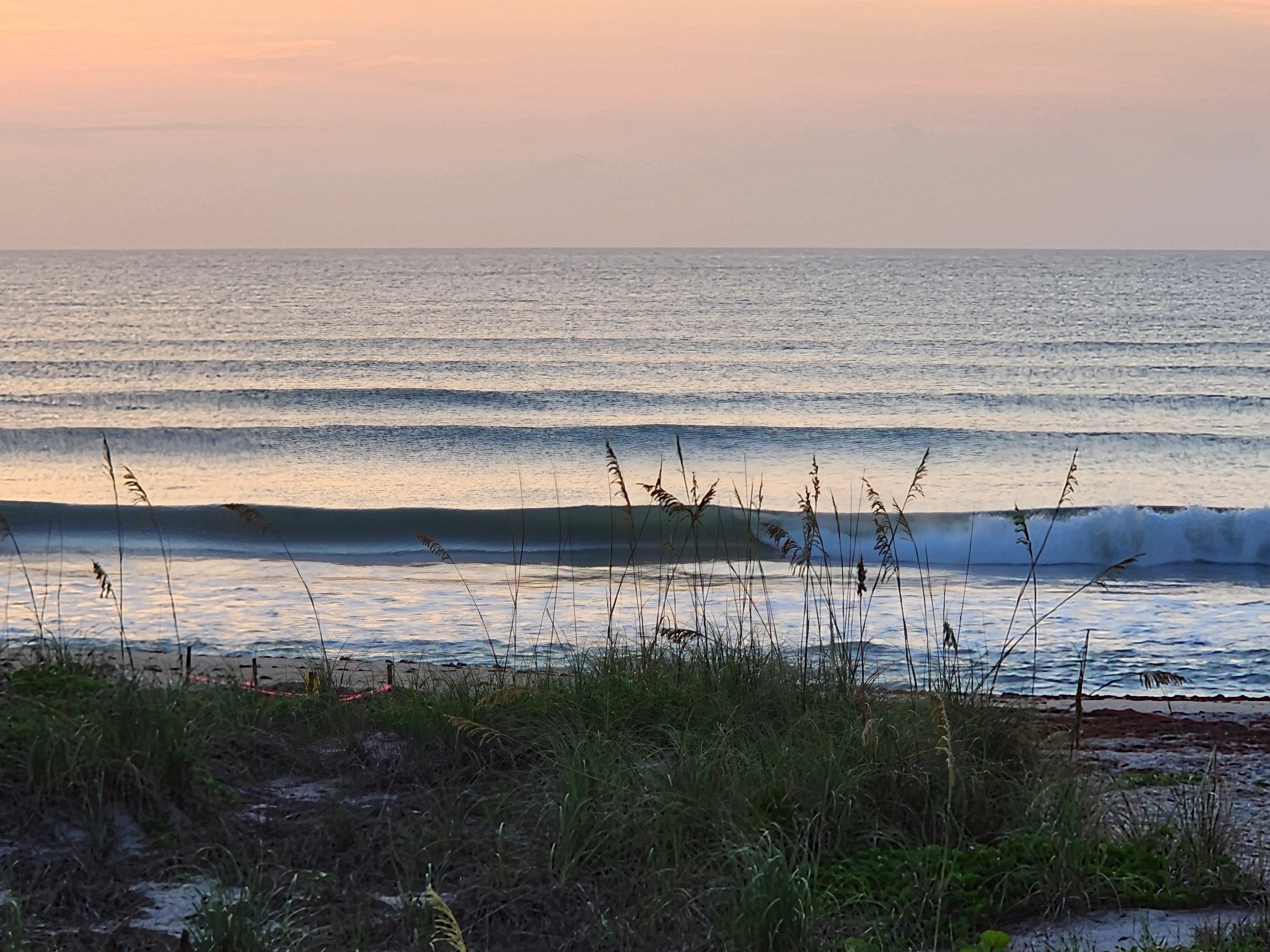Perfect dark green wave face pitching through sea oats with silver dawn light at South Cocoa Beach best surf spot