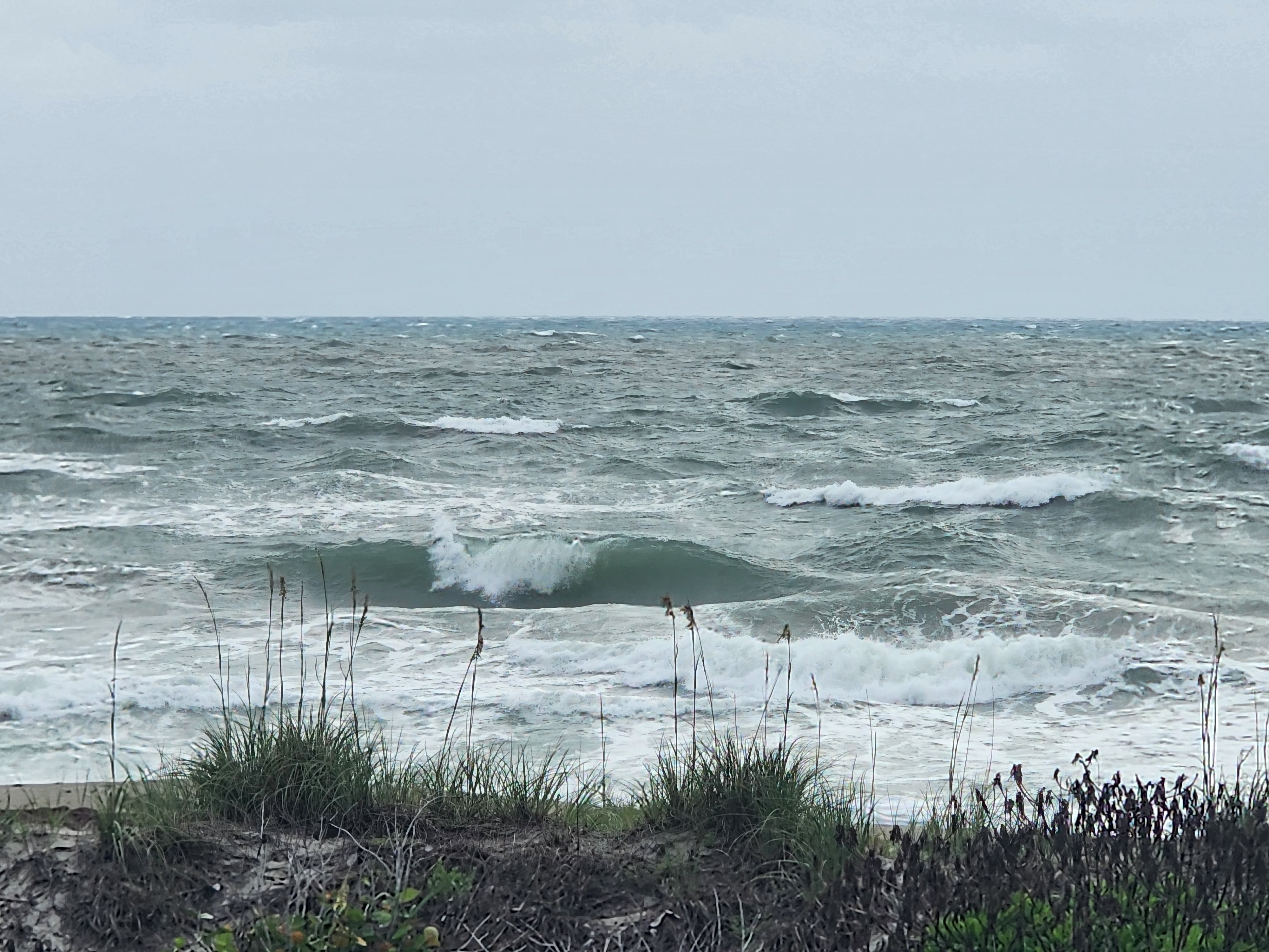 Close-up of choppy 4-5 foot wave breaking through heavy NE wind spray with dune grass at South Cocoa Beach