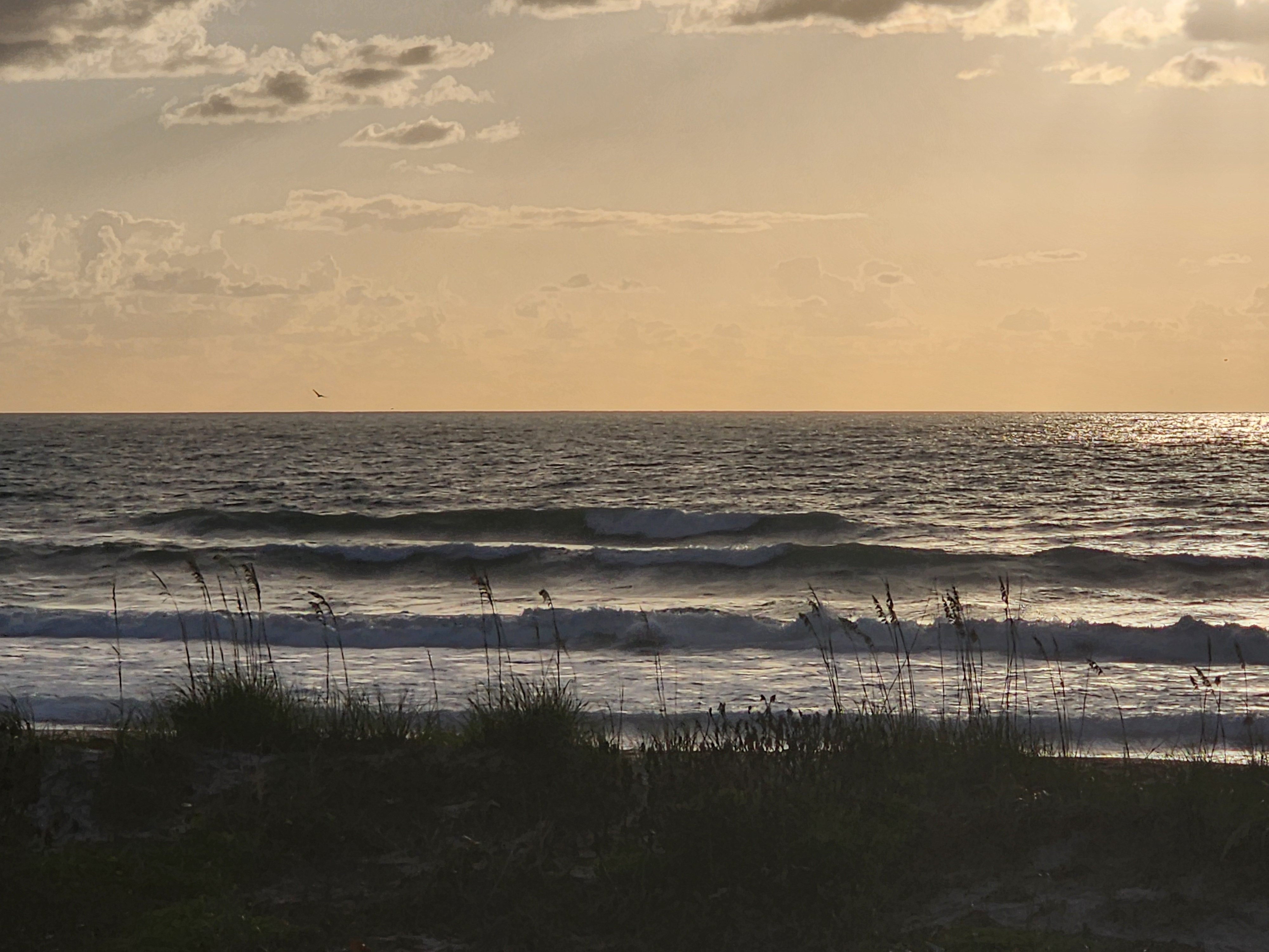 Stacked lines of NE swell with golden dawn light and silhouetted dunes at Picnic Tables Cocoa Beach surf alert