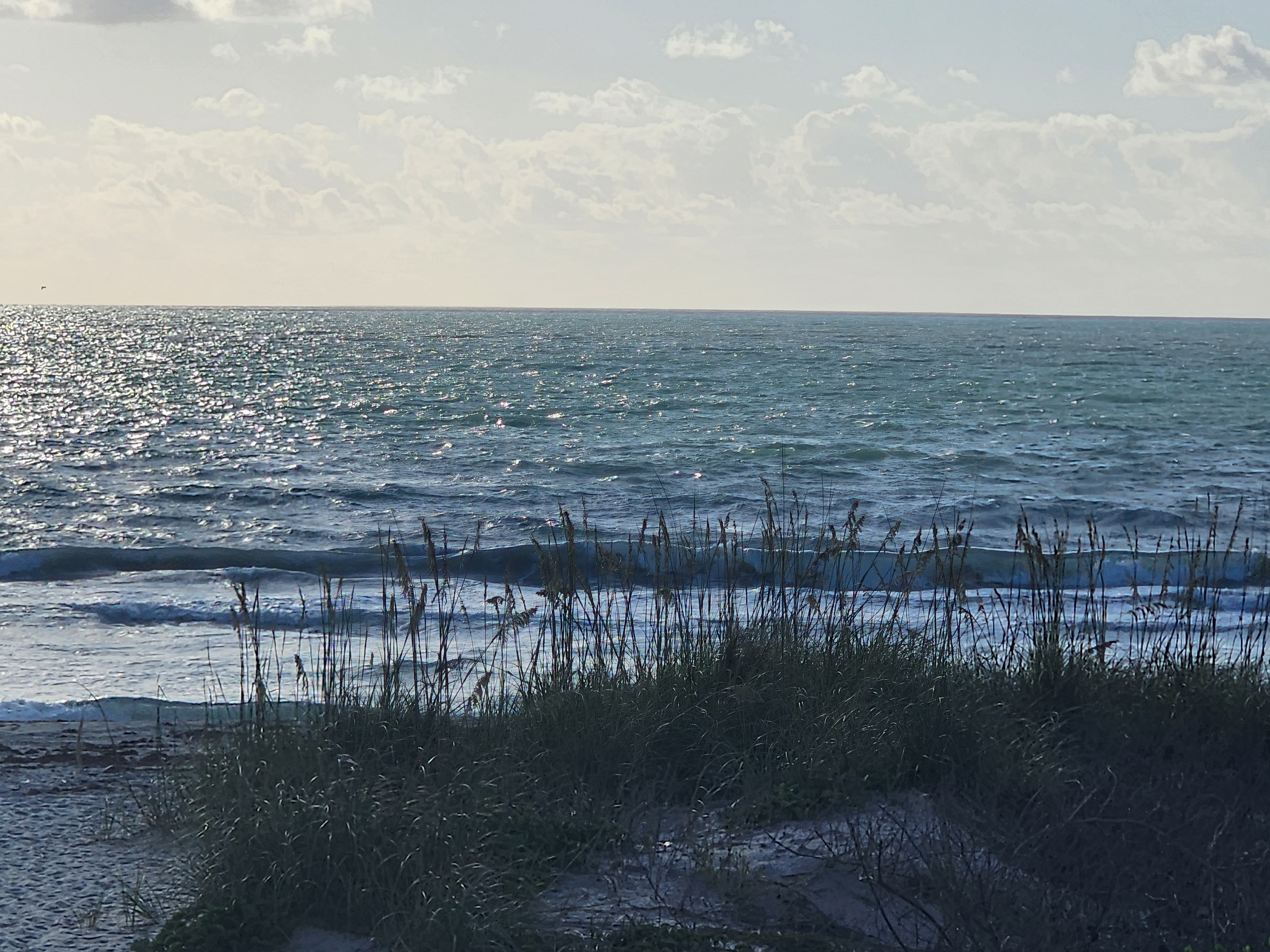 Cocoa Beach surf photo 4 — 8:10 AM lowtide — 2-3' onshore chop, longboard or short finds a bump