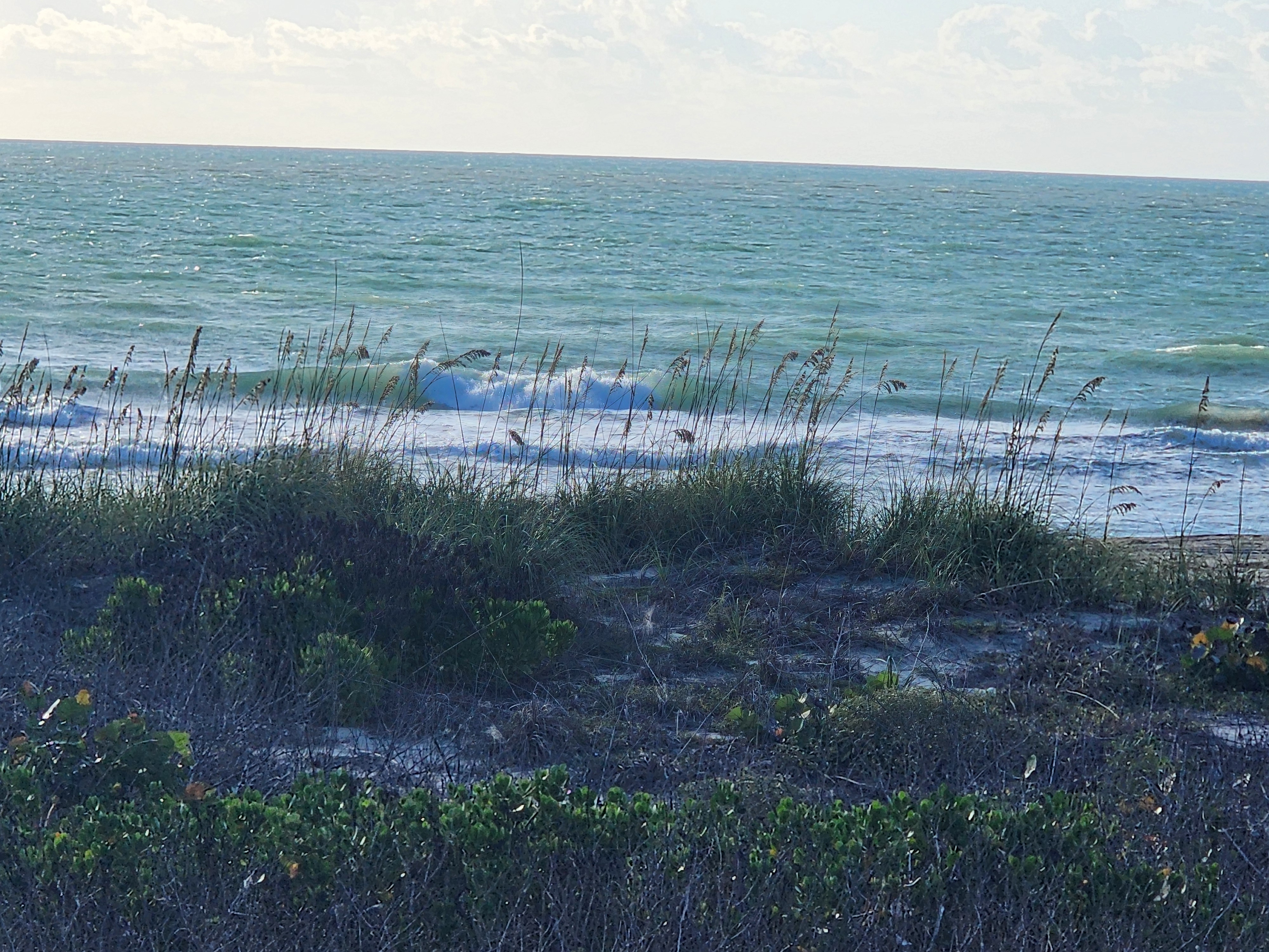 Cocoa Beach surf photo 5 — 8:10 AM lowtide — 2-3' onshore chop, longboard or short finds a bump