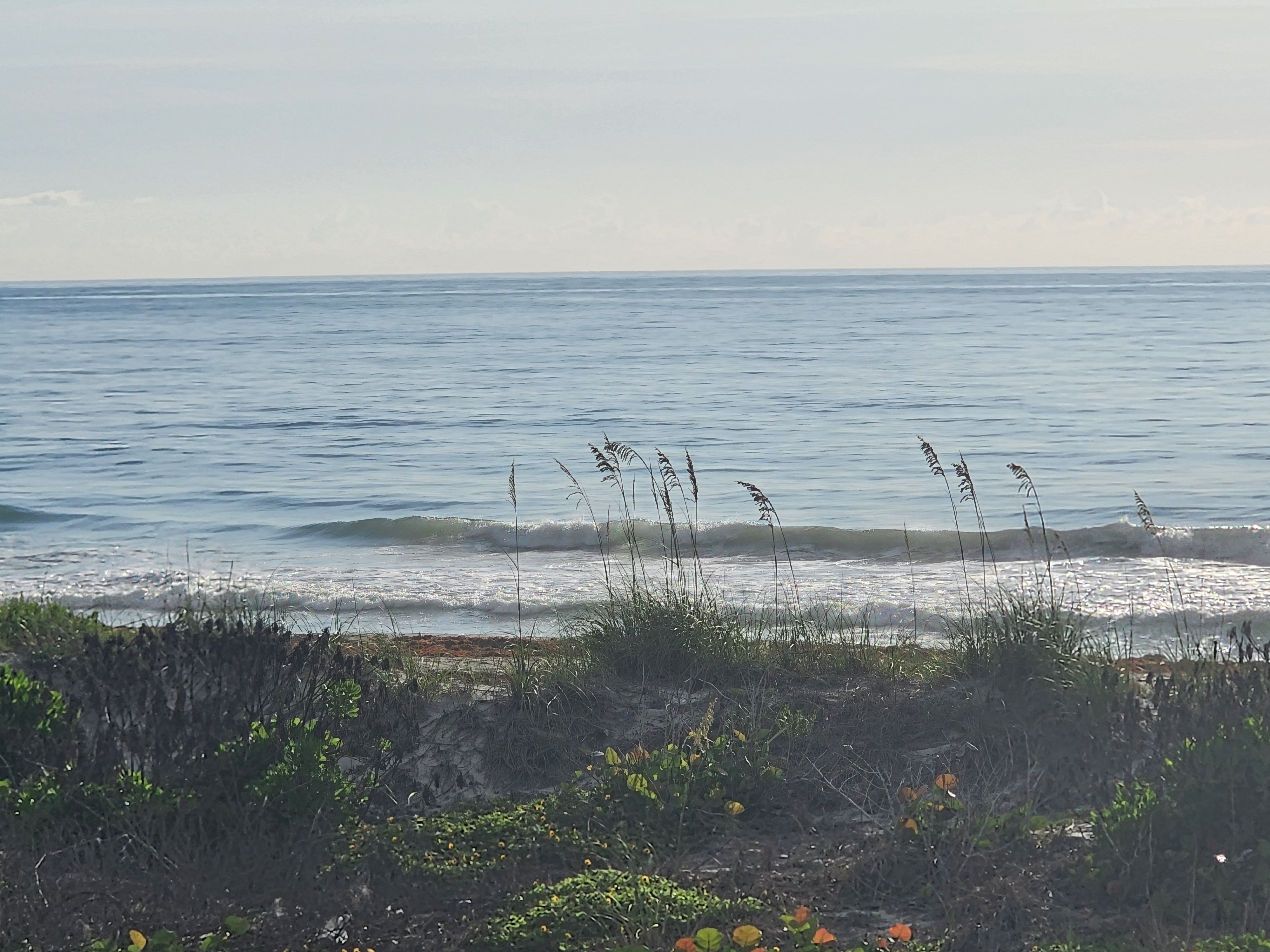 Clean knee-high wave breaking near the beach under hazy morning skies at Picnic Tables, South Cocoa Beach, June 2026