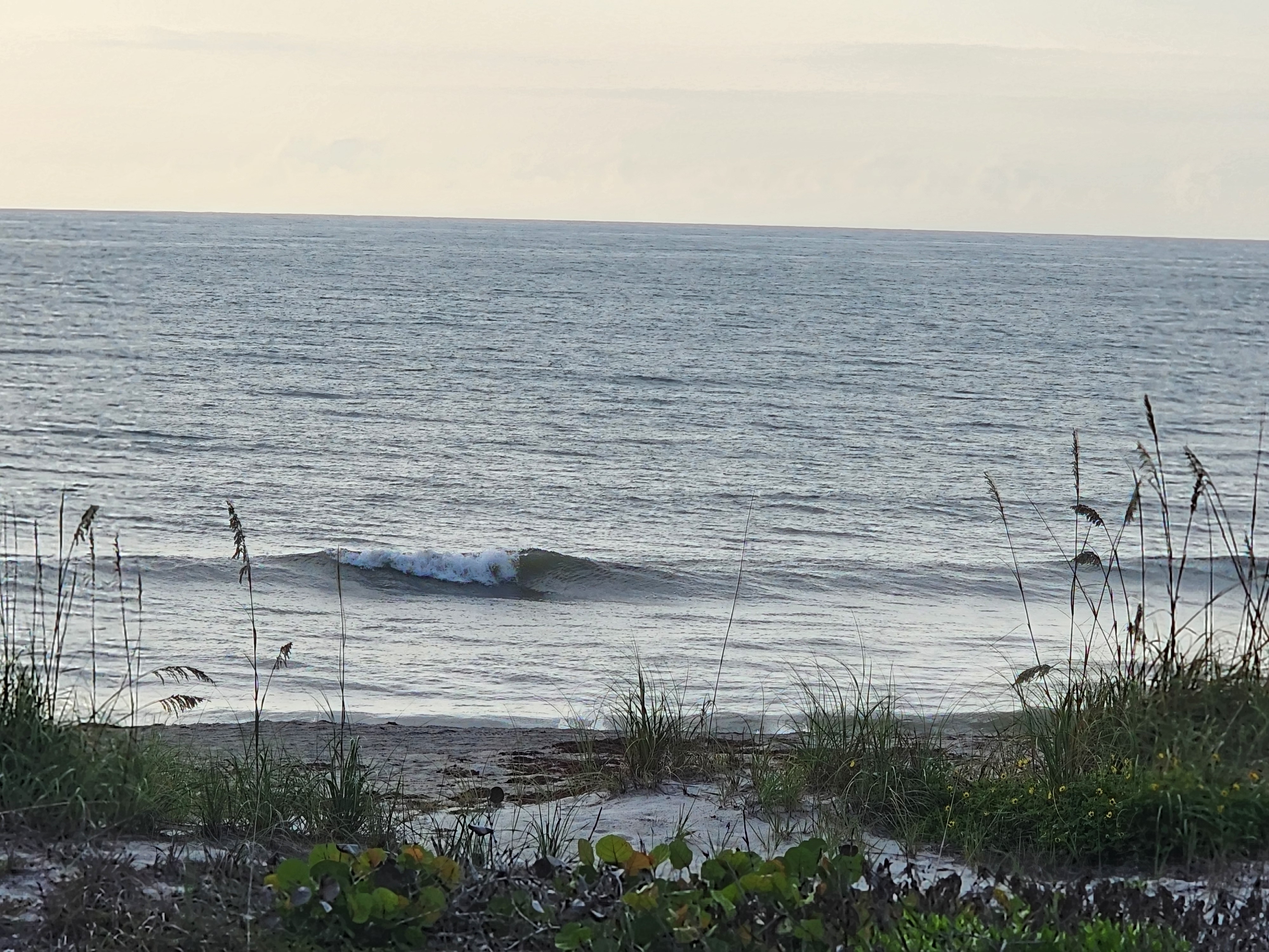 Small clean 1 foot wave breaking nearshore at Picnic Tables, Cocoa Beach, June 2026