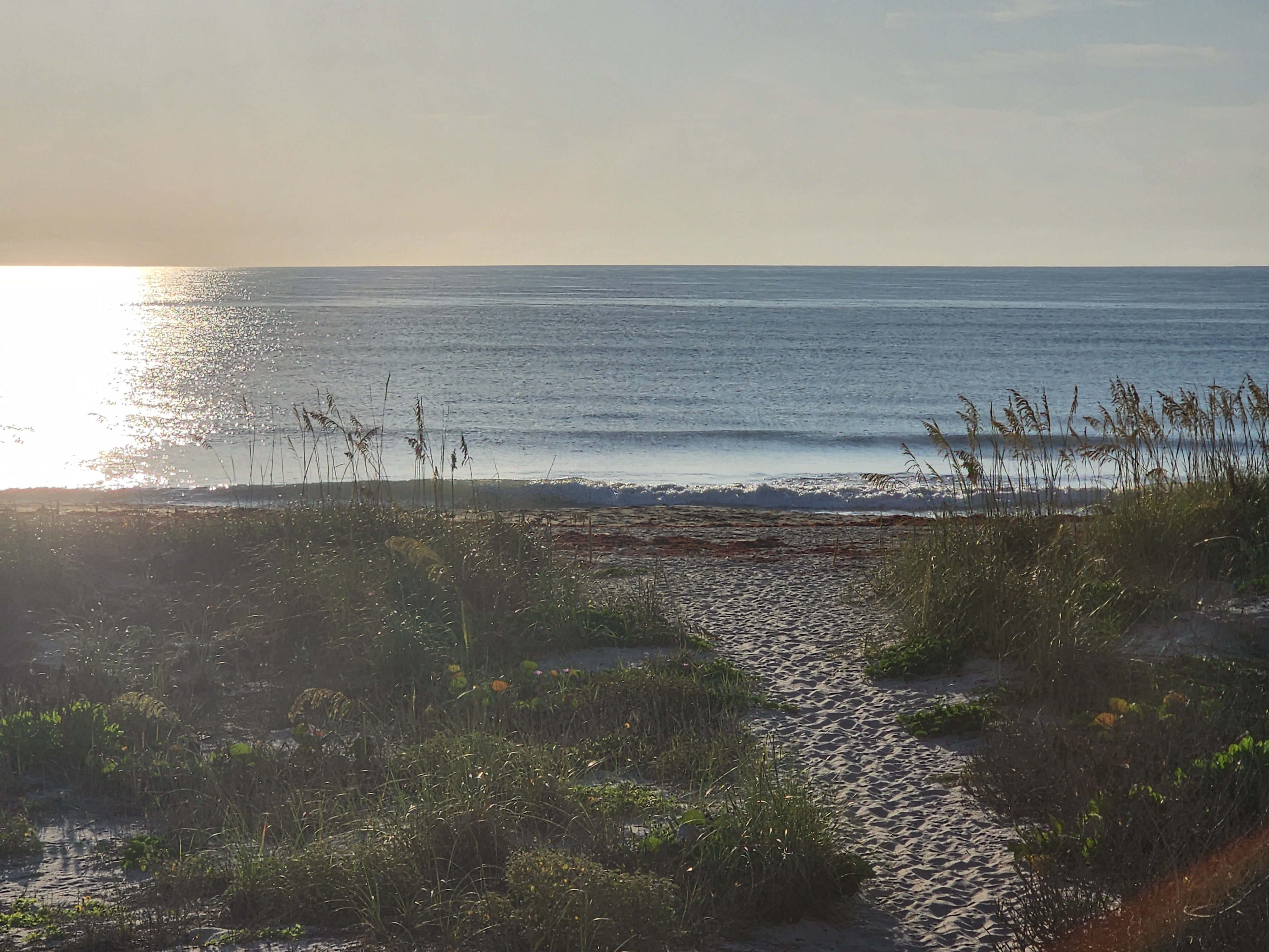 Glassy 0-1' nearshore peeler with light west wind and sea oats framing the path at 31st Street, June morning