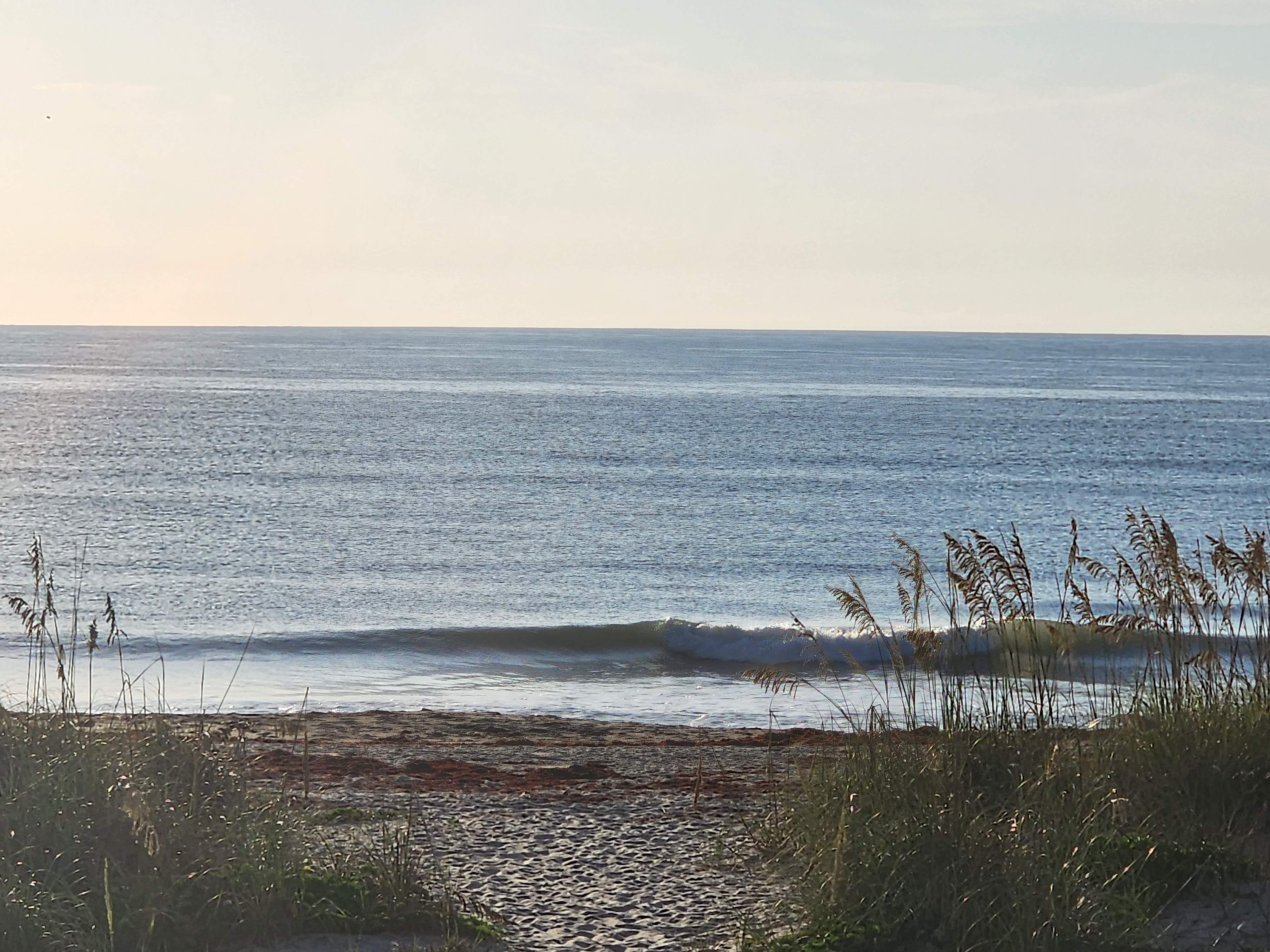 Small clean waist-high set breaking off the beach at Picnic Tables on the outgoing midtide, early summer