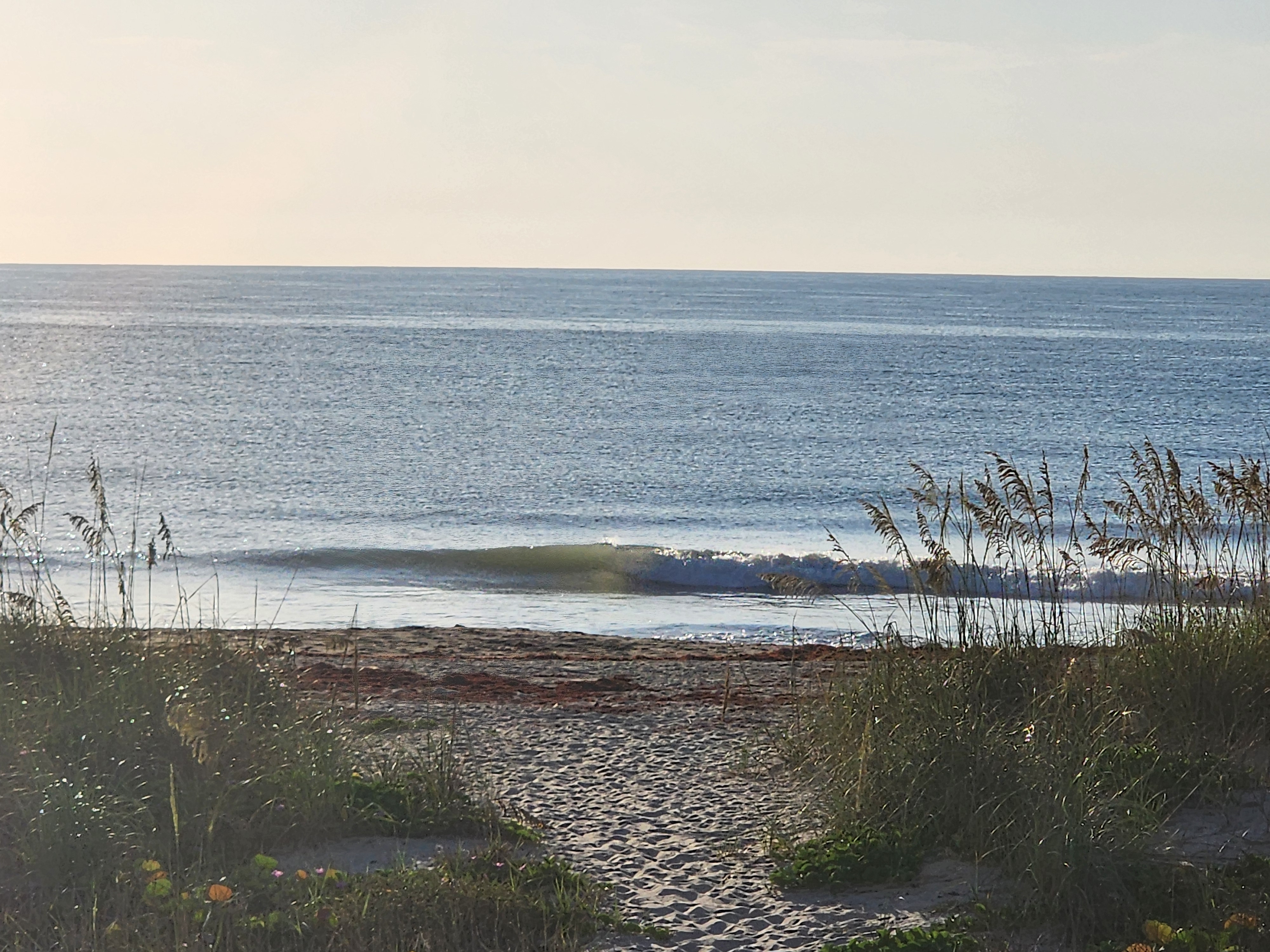 Occasional small clean bump rolling in nearshore at Picnic Tables with sea oats in the foreground, June morning