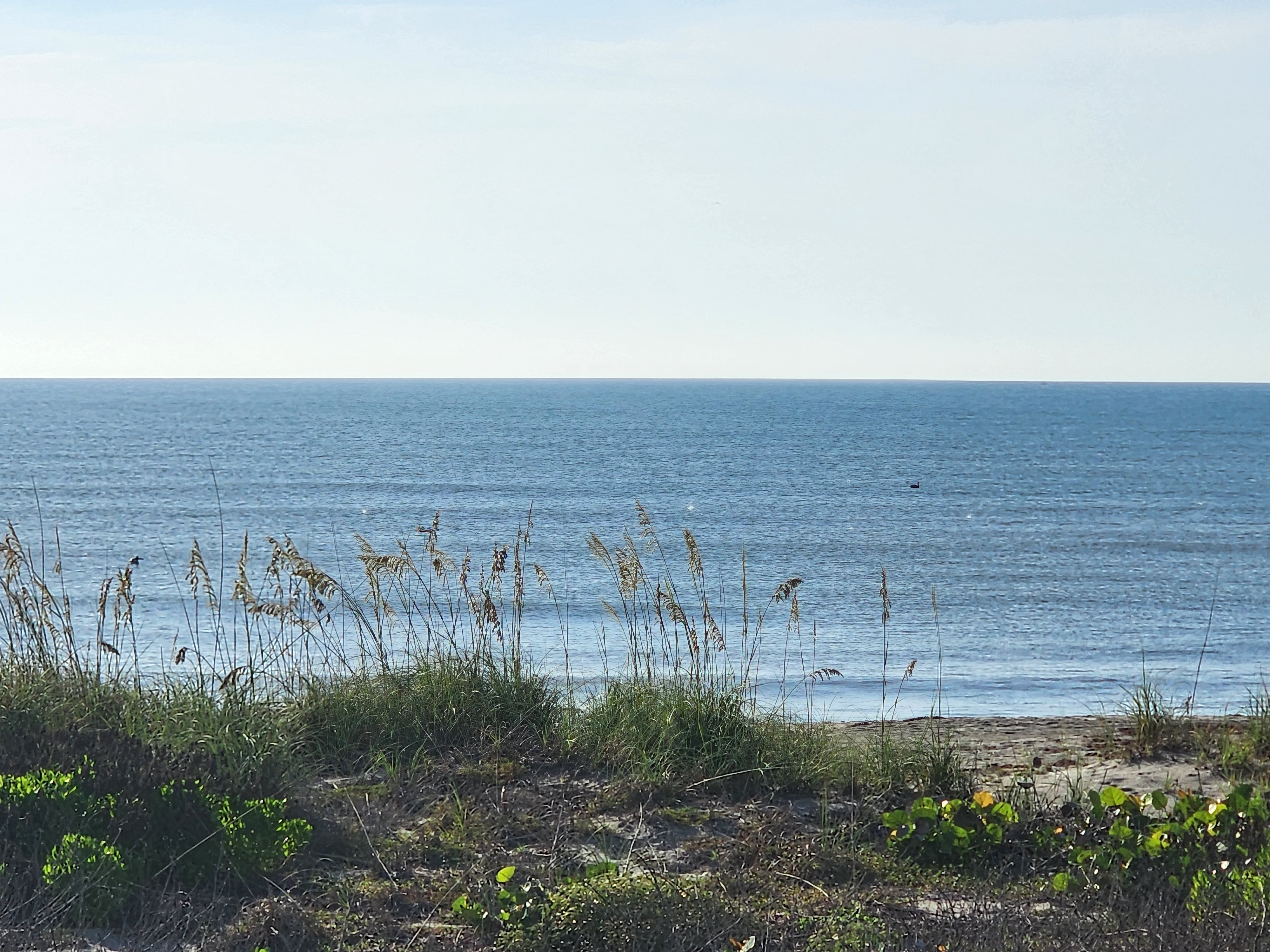 Cocoa Beach surf photo 2 — Flat — 0-1' breaking on shore at mid tide, and already cooking