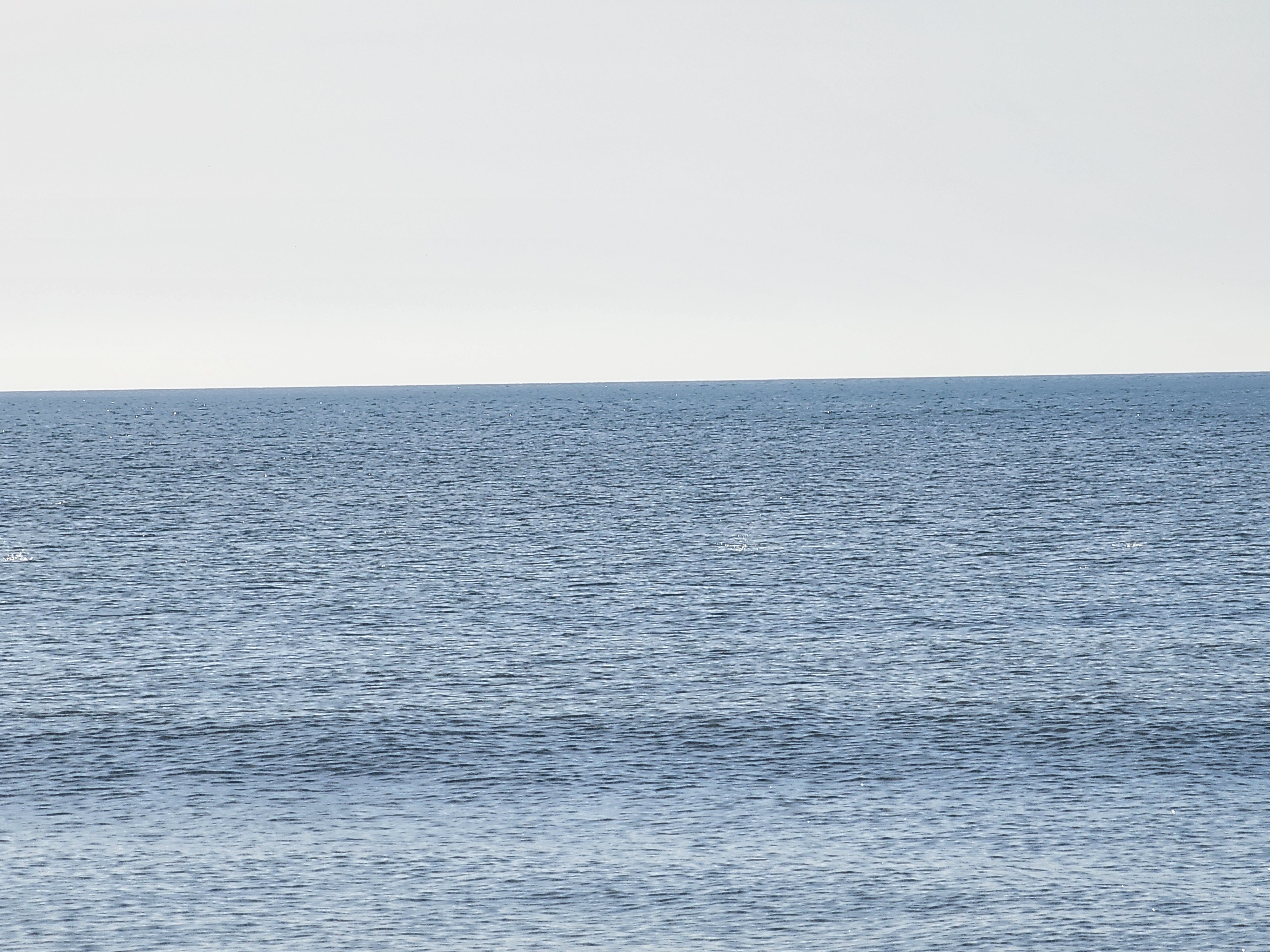 Cocoa Beach surf photo 5 — Flat — 0-1' breaking on shore at mid tide, and already cooking