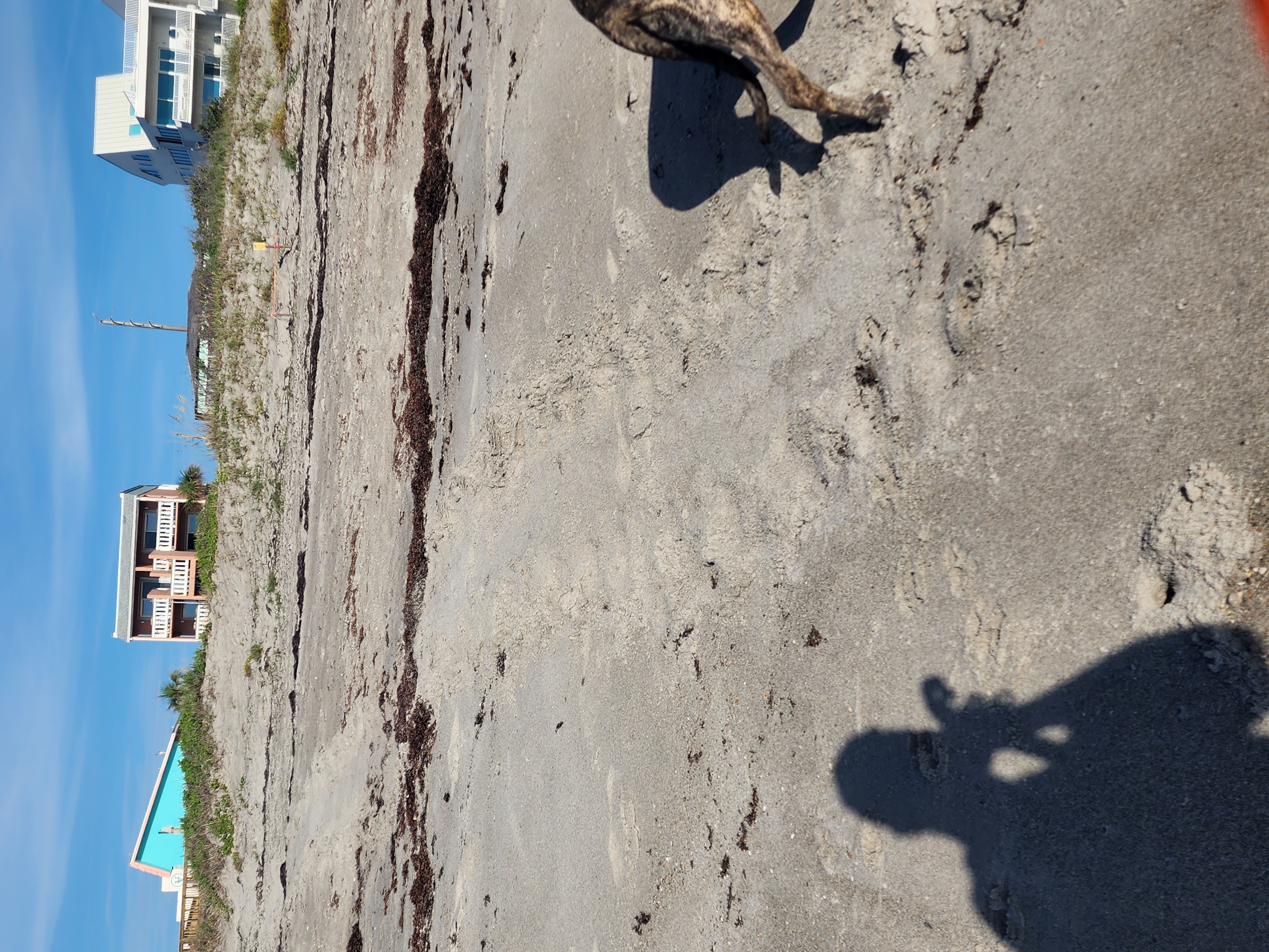 Cocoa Beach surf photo 6 — Flat — 0-1' breaking on shore at mid tide, and already cooking
