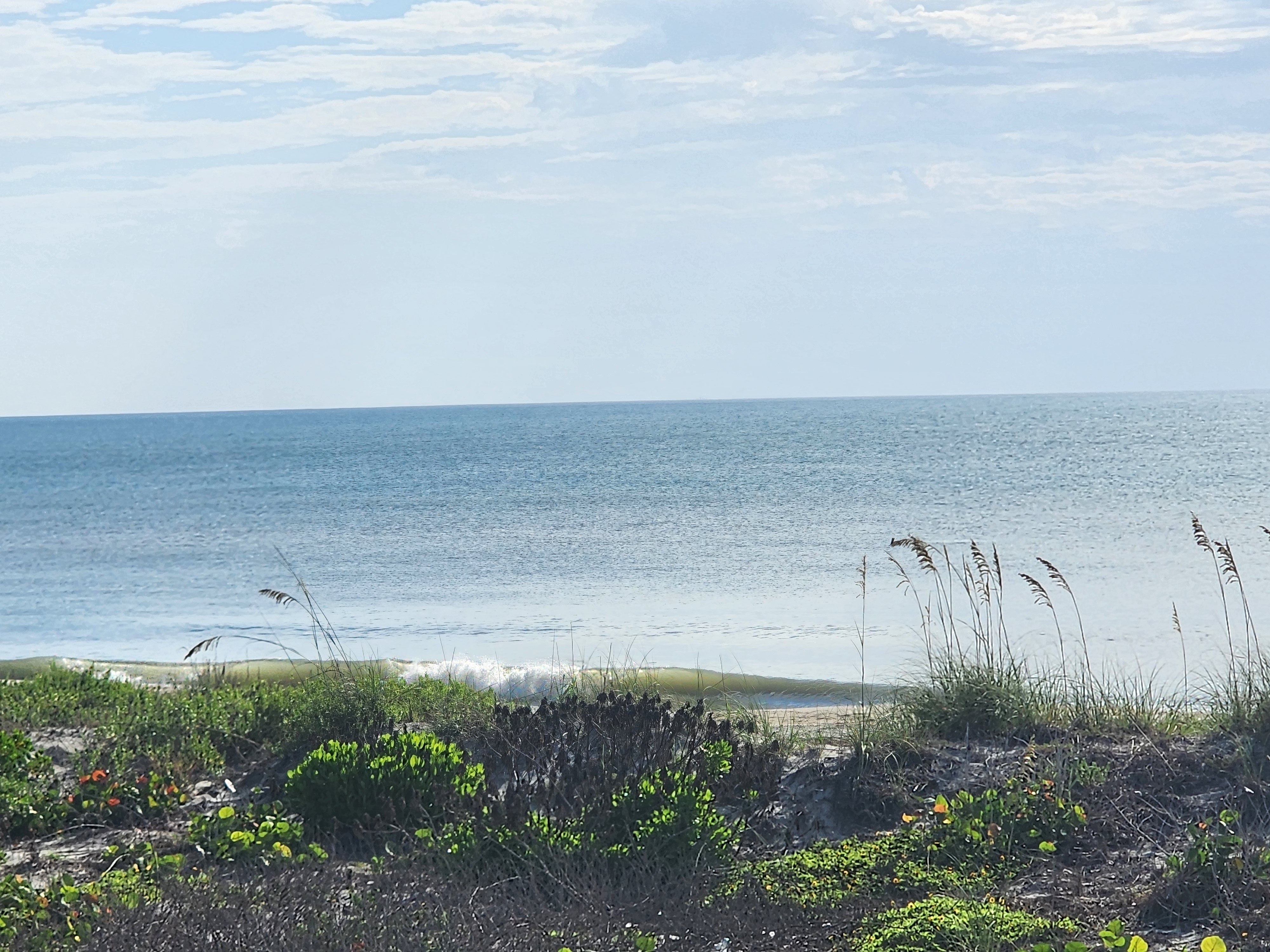 Wide flat surf at the waterline with footprints and sea turtle crawl tracks crossing the sand at South Cocoa Beach