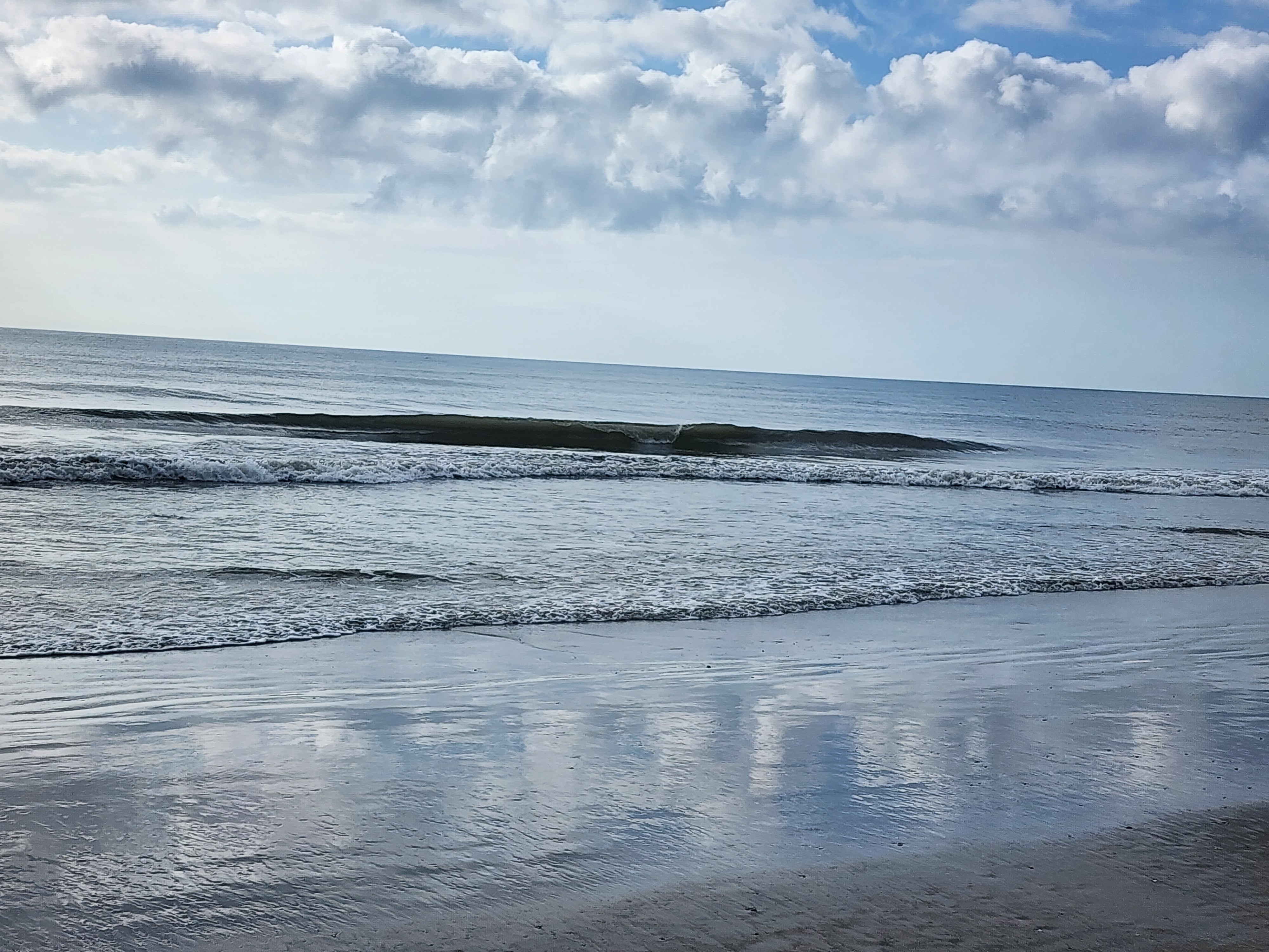 A clean little wave peeling with a small peak, low-tide wet sand mirroring blue sky and clouds in the foreground