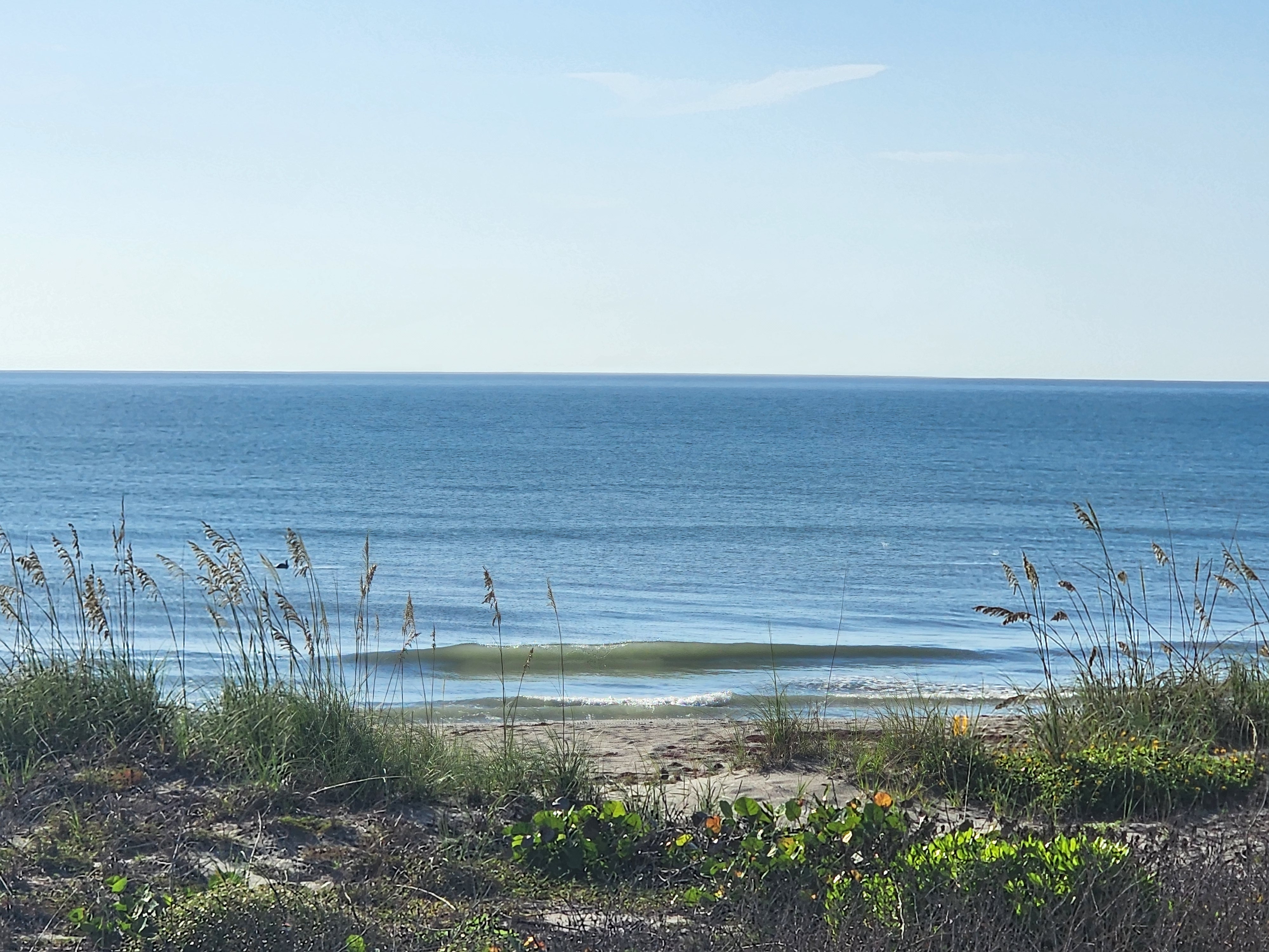 Glassy deep-blue ocean with a small clean wave breaking at the shoreline, sandy beach access framed by dune grasses and sea oats