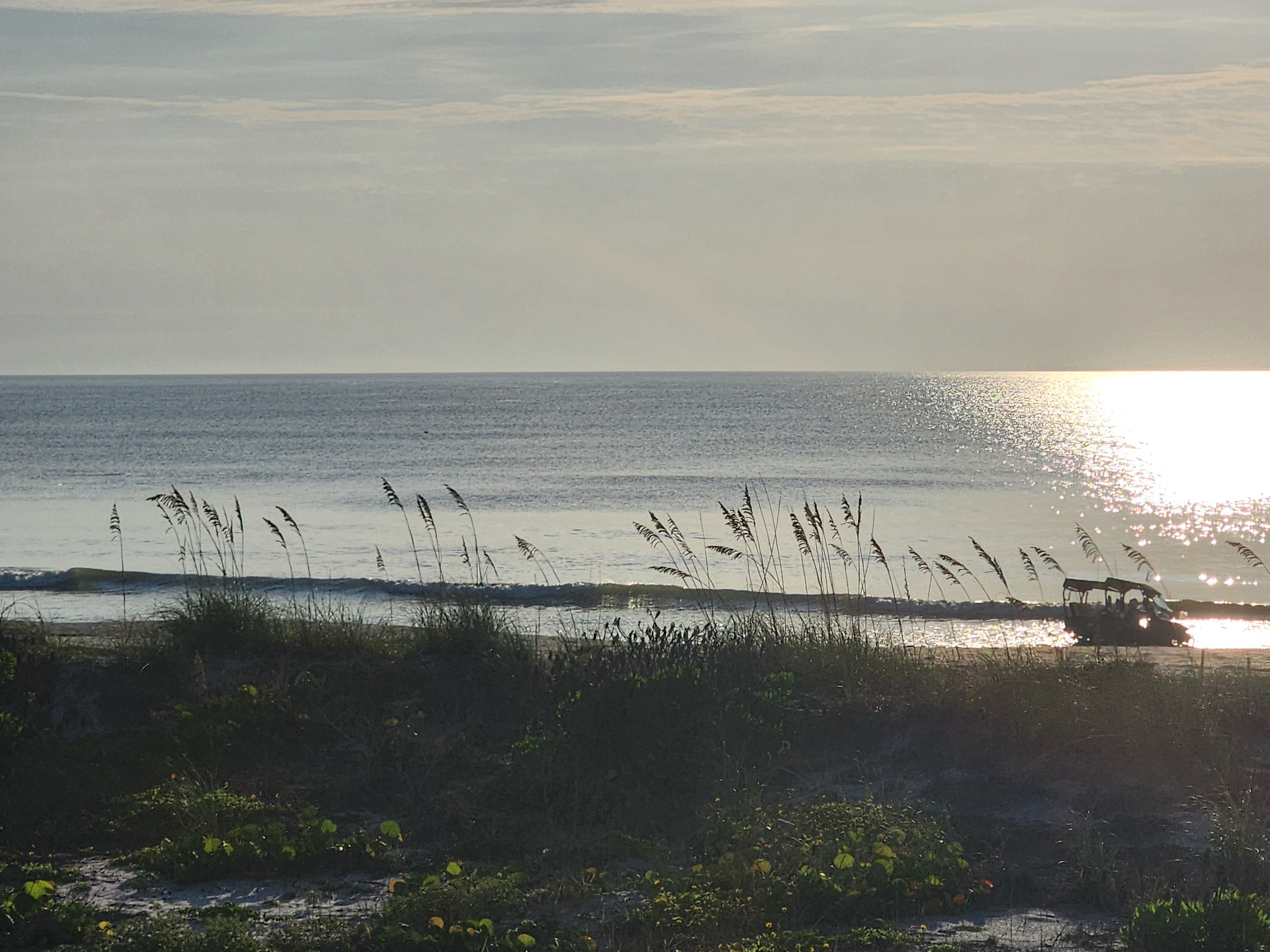 Backlit dunes and sea oats with a soft sunrise glow over a flat, clean ocean.