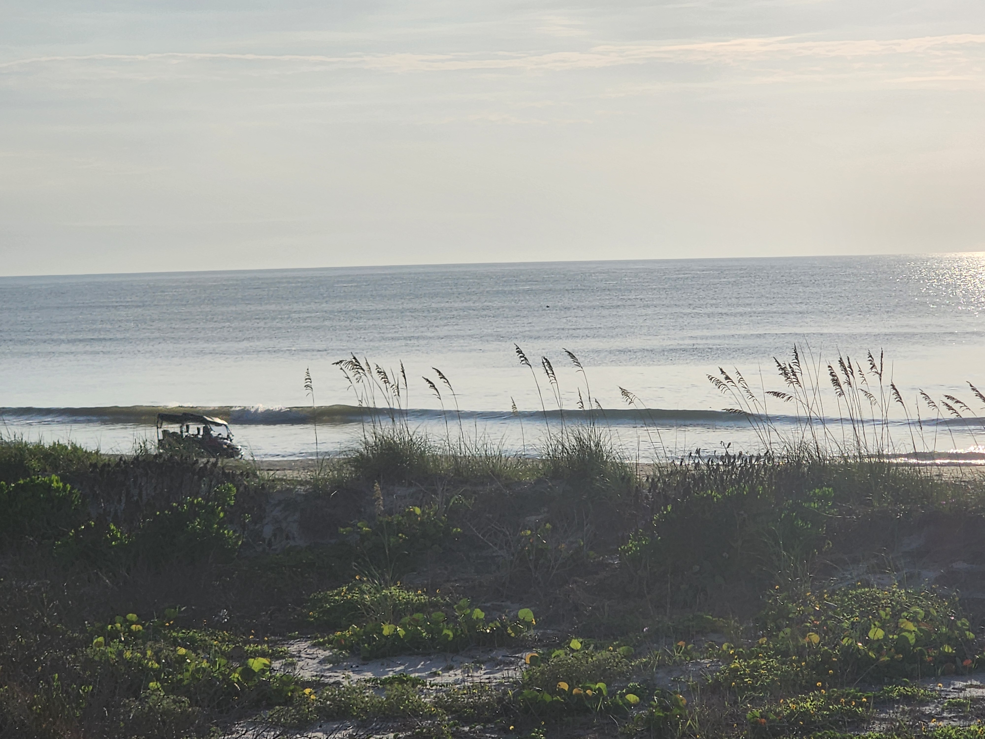 A clean 1' wave peeling along the shoreline at golden morning light, with a beach patrol vehicle parked at the water's edge framed by dune sea oats