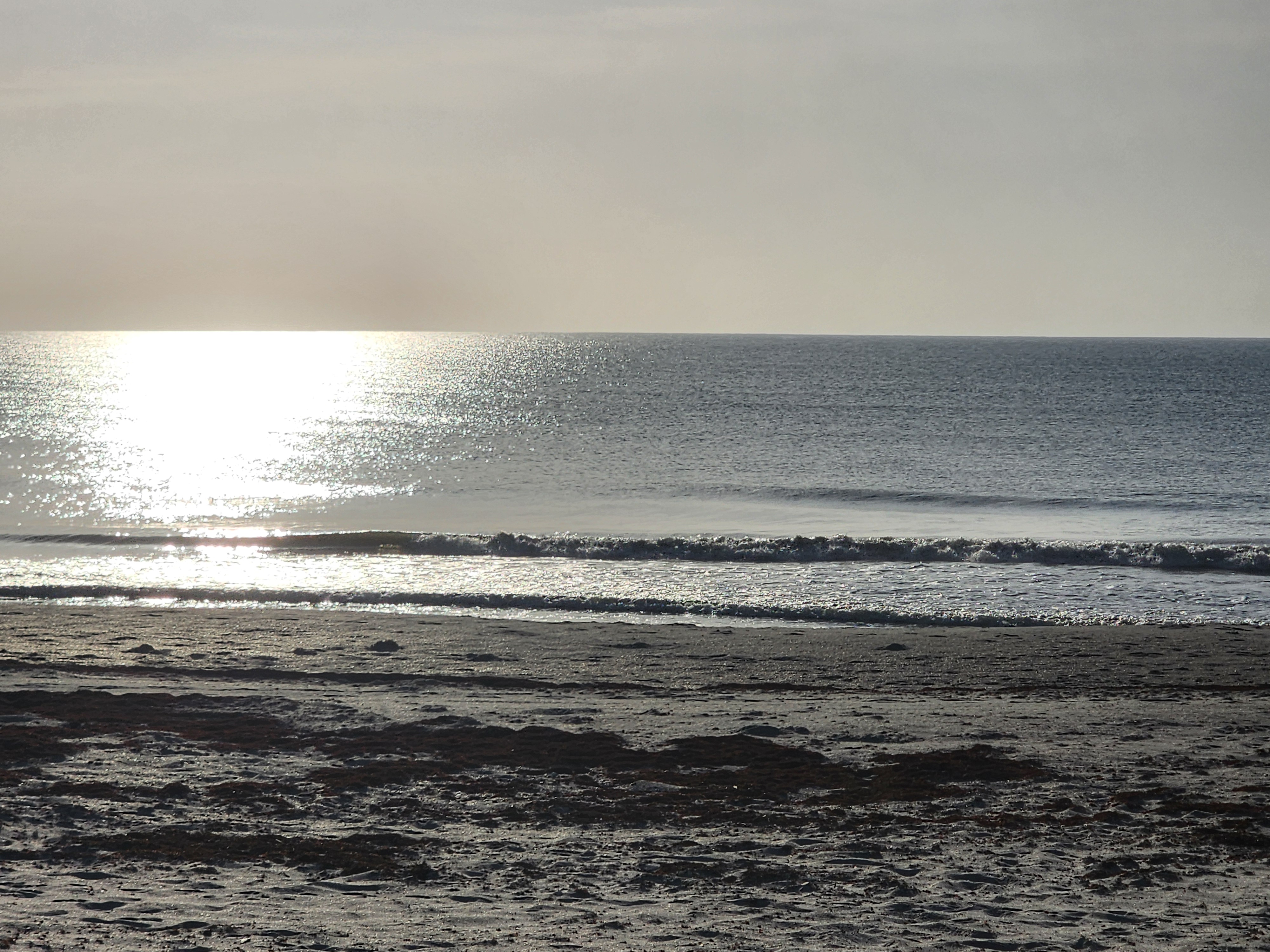 Backlit morning sun glaring silver off the water with a small wave breaking nearshore and a line of sargassum seaweed washed up across the dark wet sand.