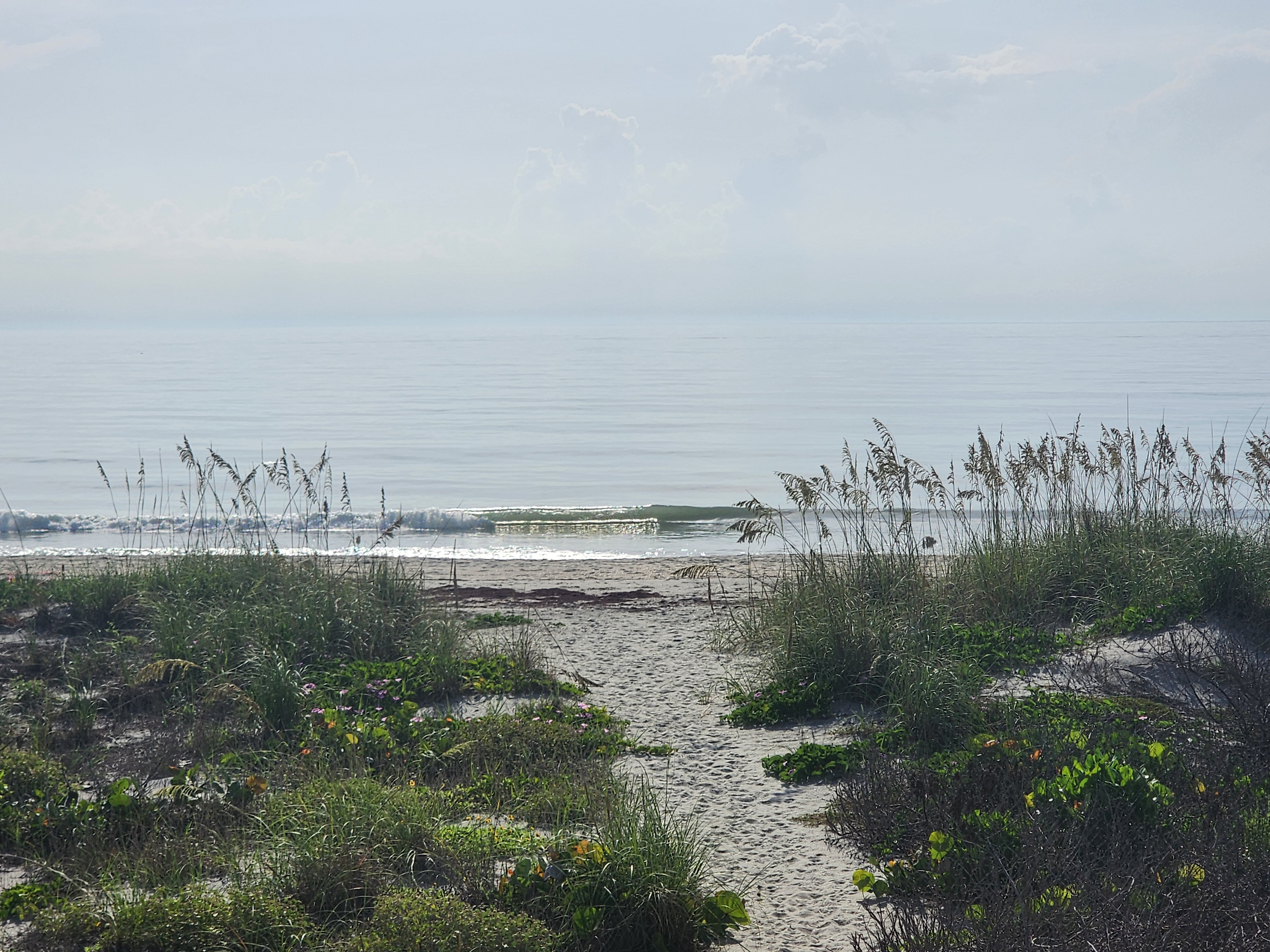 Sandy path winding through dune vegetation and sea oats down to the beach, a thin clean wave breaking in the distance under soft morning haze