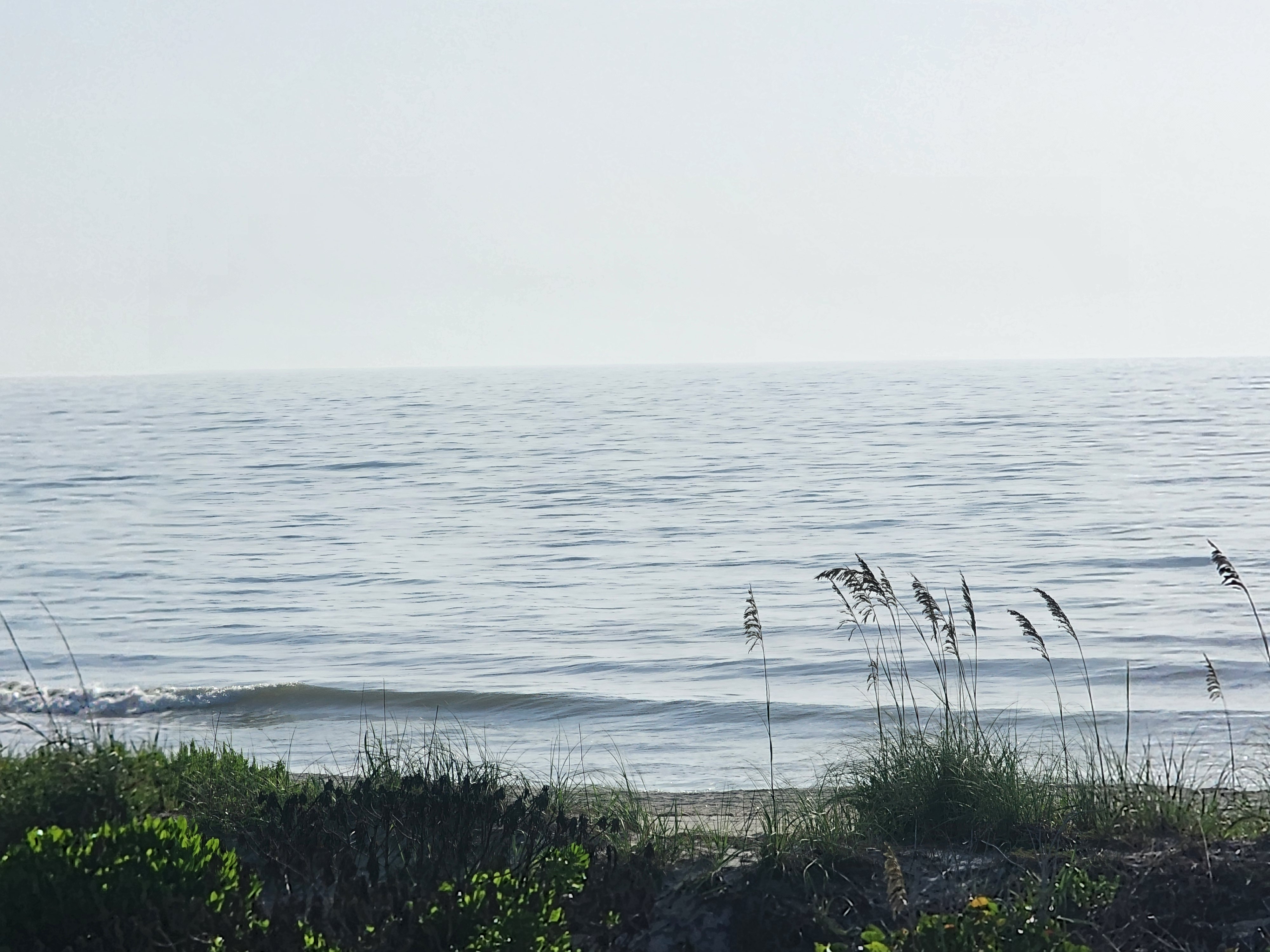 Slick offshore-calm ocean with a tiny wave folding over on the left, sea oats silhouetted against the bright water on the right.