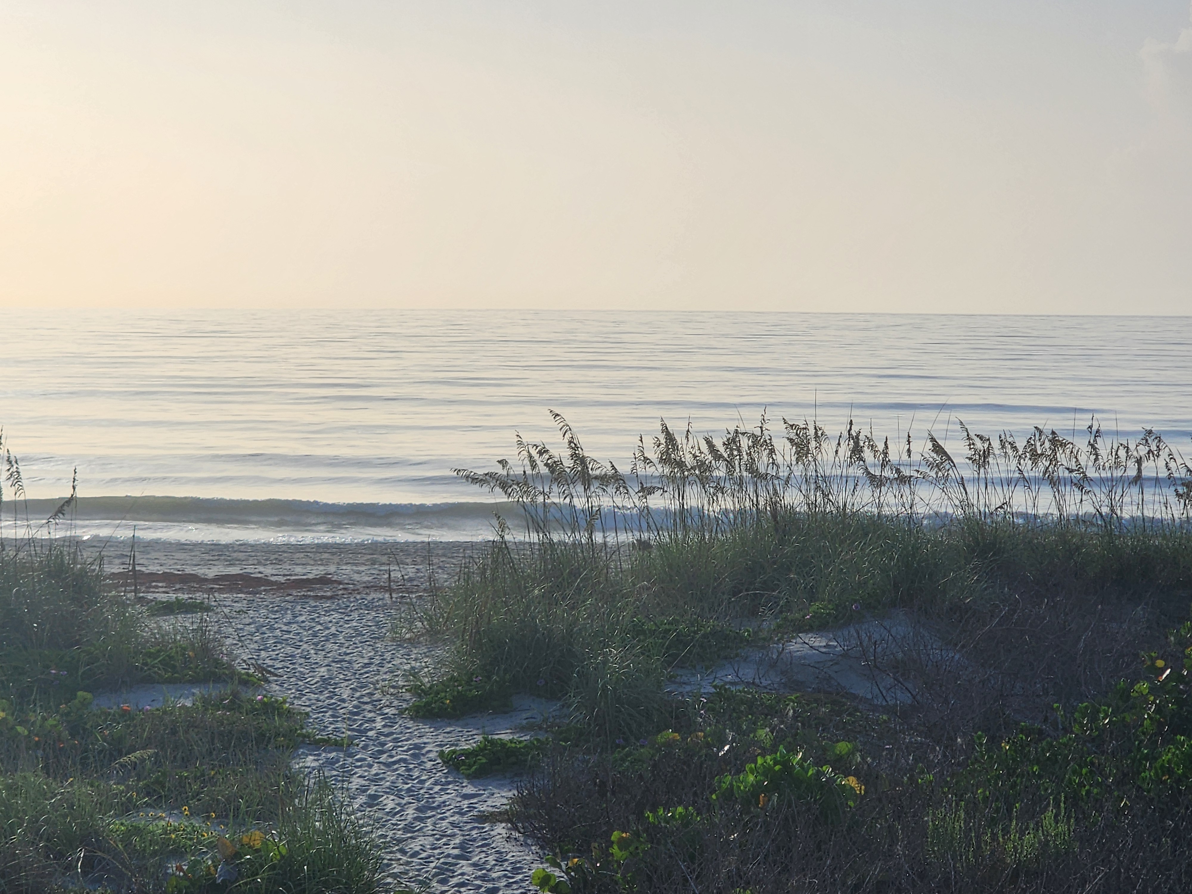 Soft golden early-morning light over a glassy ocean, a small wave breaking on the left and a sandy dune path winding through sea oats down to the beach.