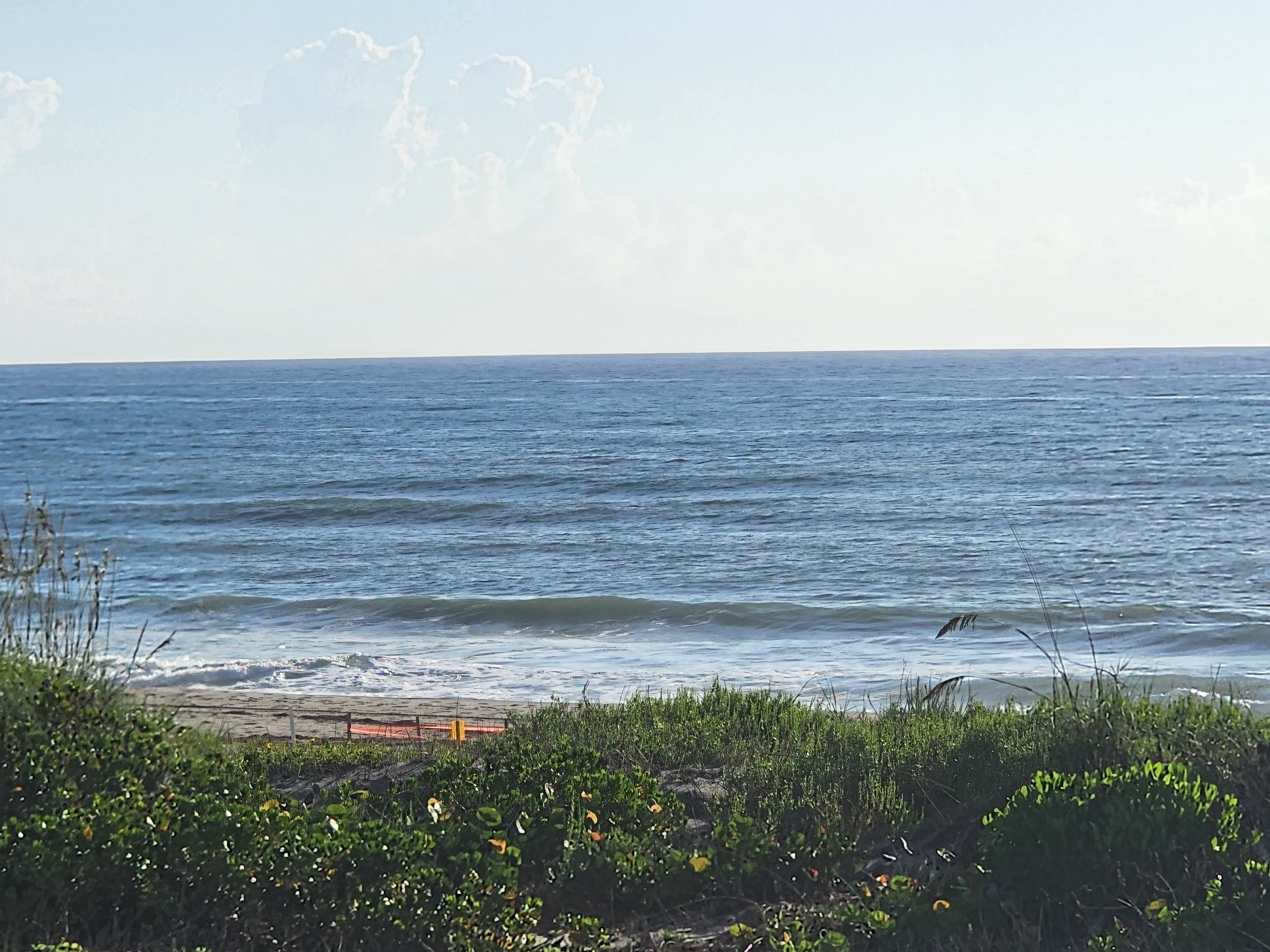 Glassy blue-green ocean with a small nearshore wave and lines of light swell rolling in past the dune grass