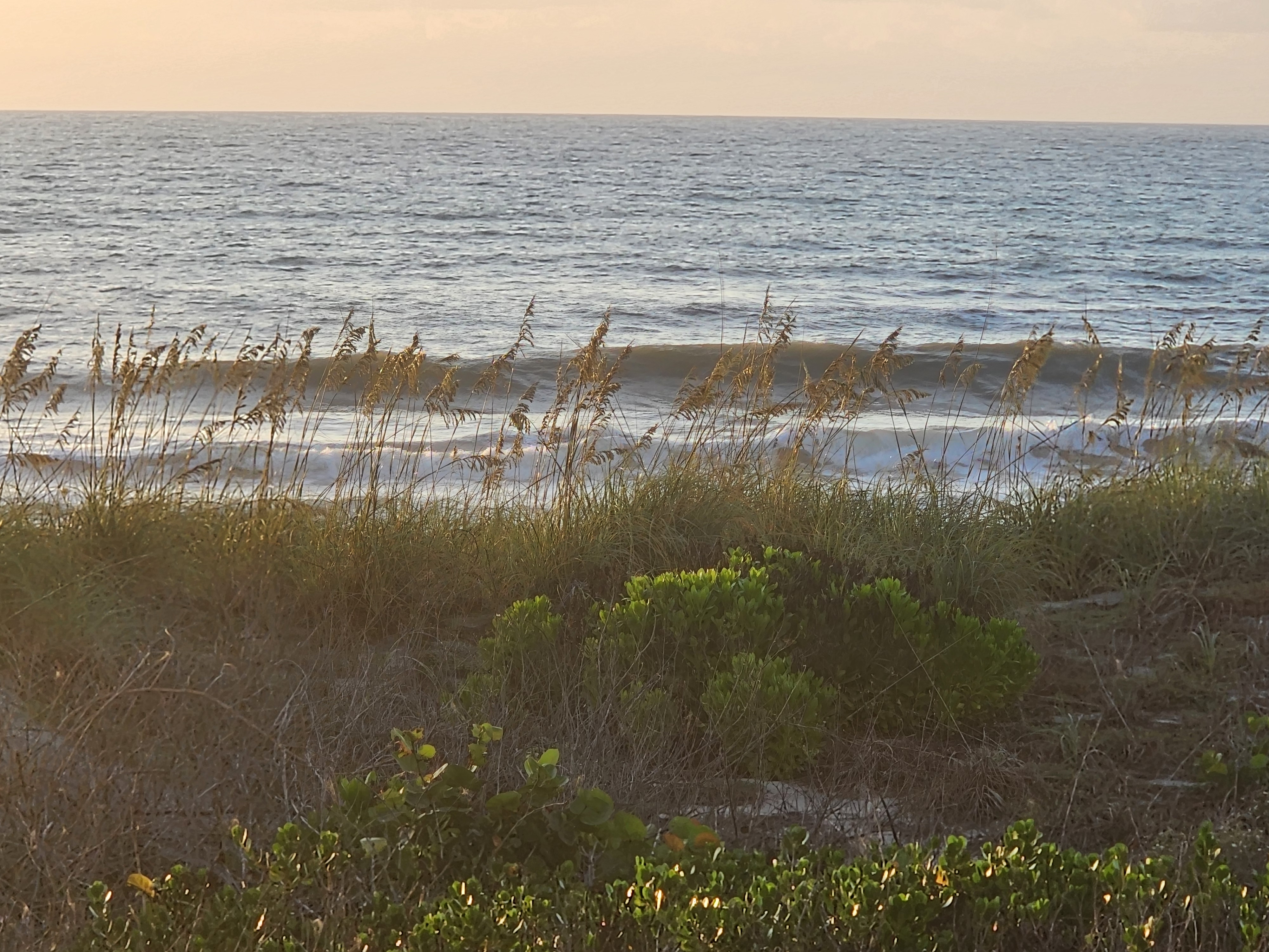 Golden early light backlights sea oats along the dune, with a small wave breaking and whitewater rolling toward the sandy beach behind.