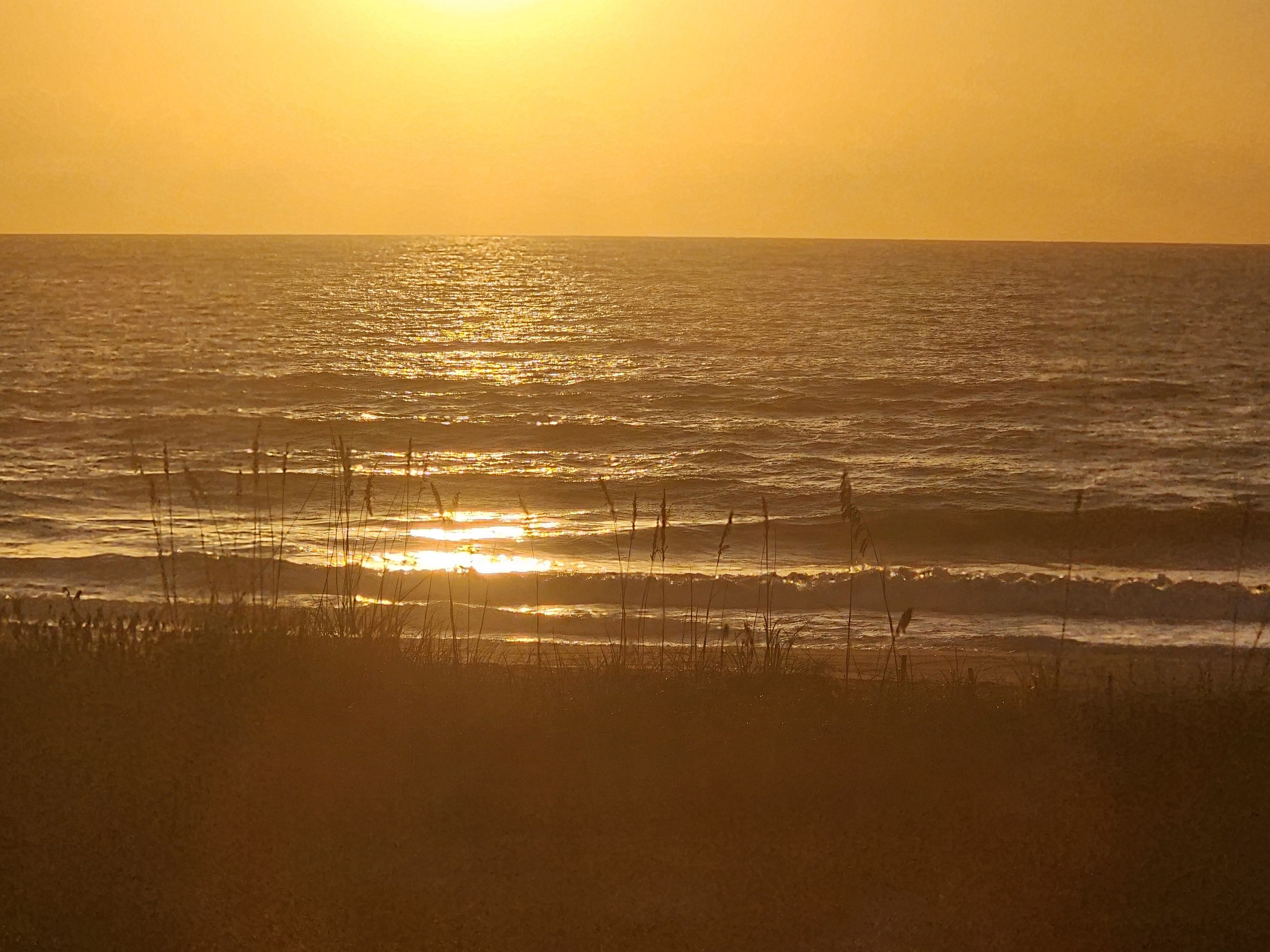 The sun sits low over the horizon in a golden sunrise, light glinting off the water and silhouetting sea oats above a breaking wave.