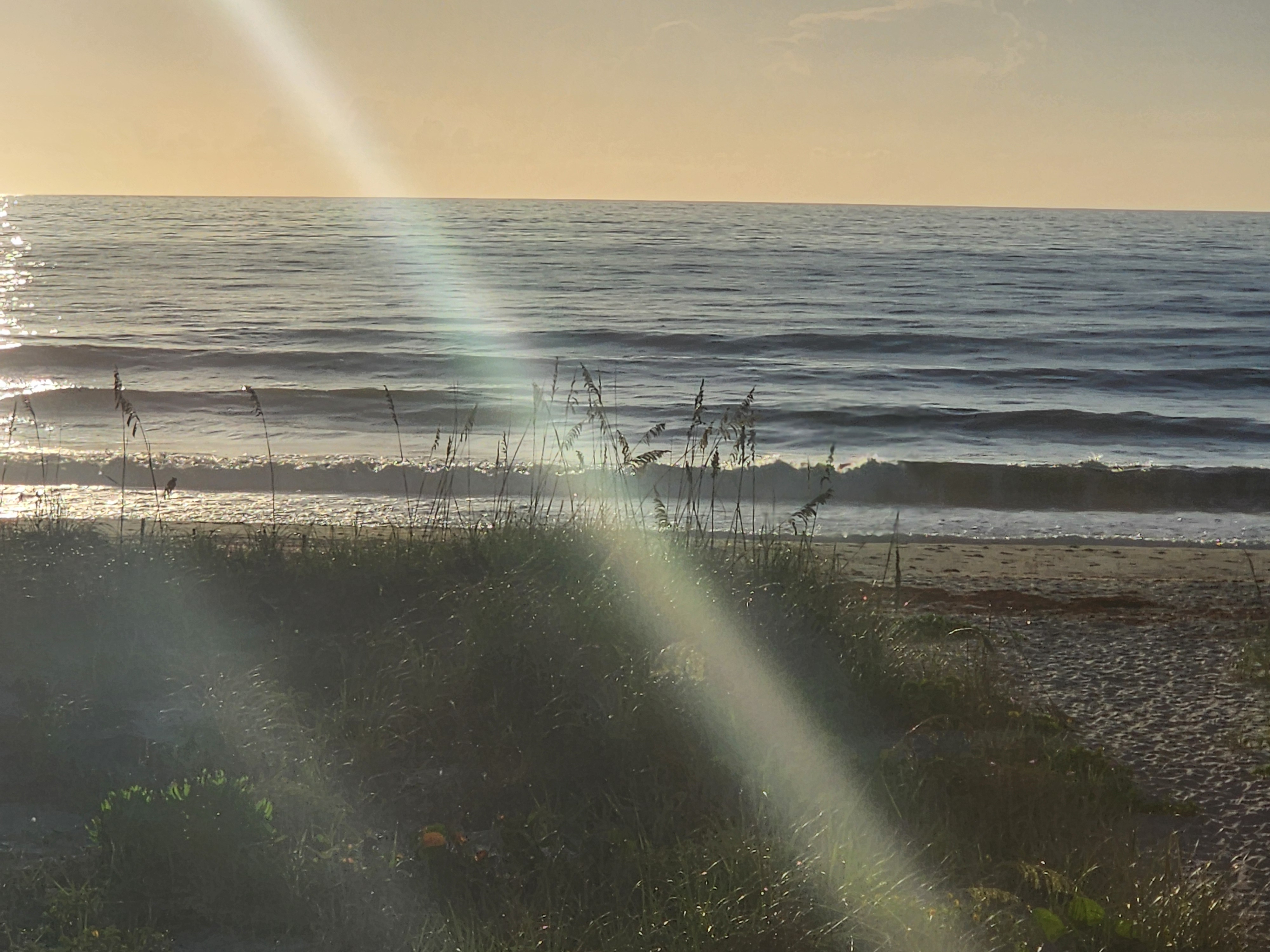 Morning sun flare over the water with sea oats silhouetted against the glassy peaks rolling in at South Cocoa Beach.