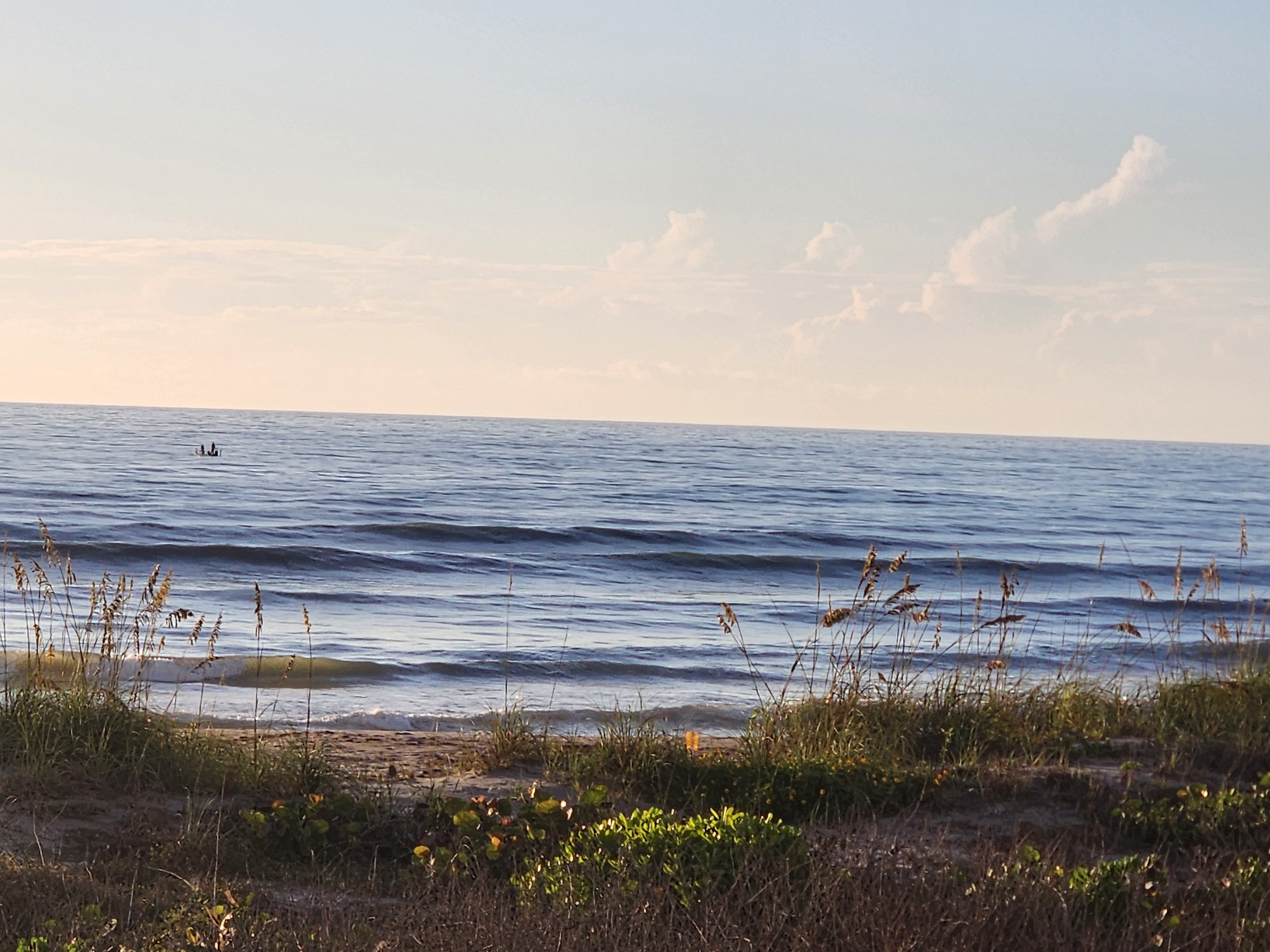 Waves stacking up beyond the dune line, sea grapes and beach grass in the foreground catching the early light, boat offshore.