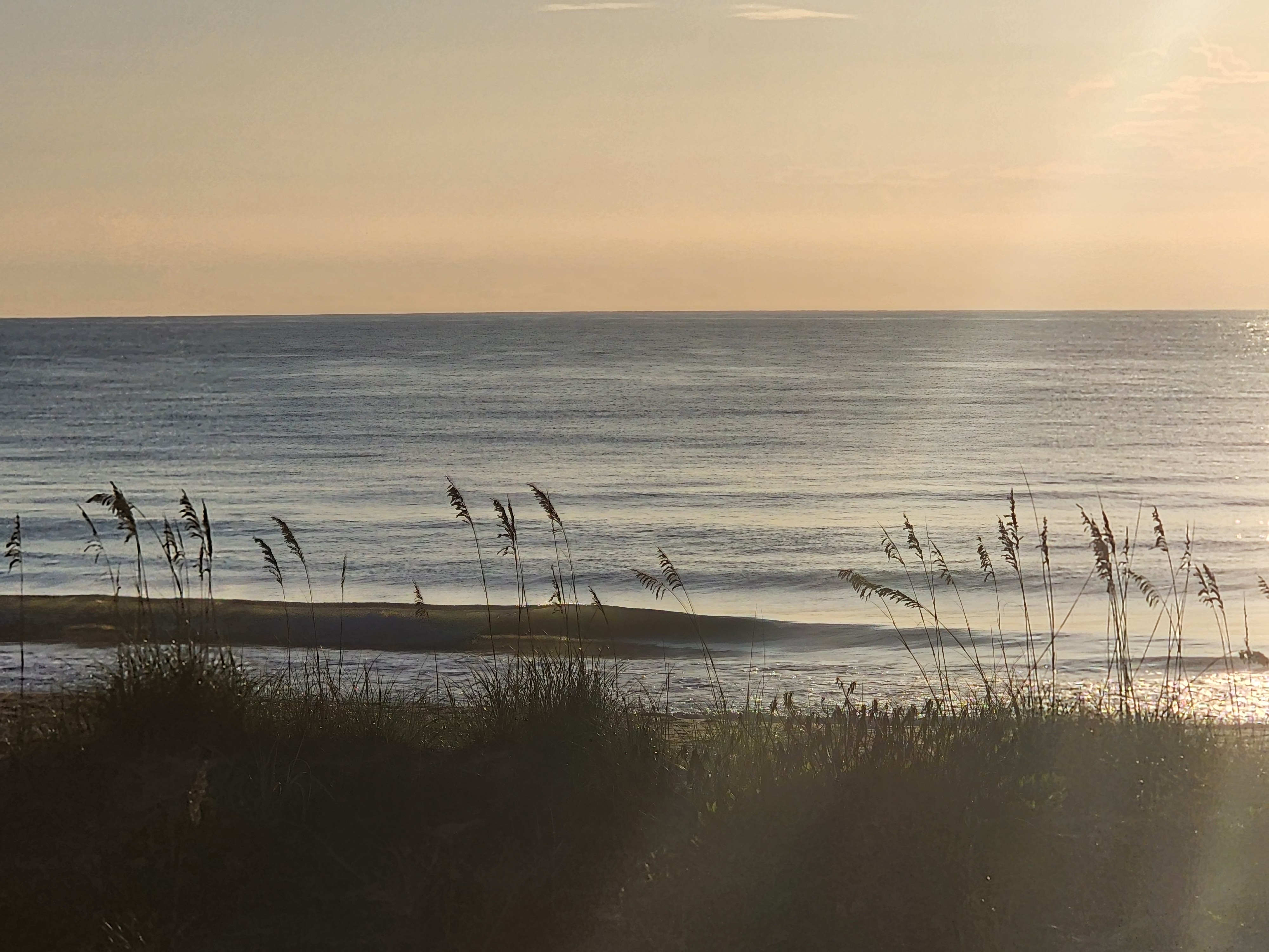 Backlit sea oats silhouetted against glassy, sun-glittered water with a small clean wave peeling toward shore at sunrise.
