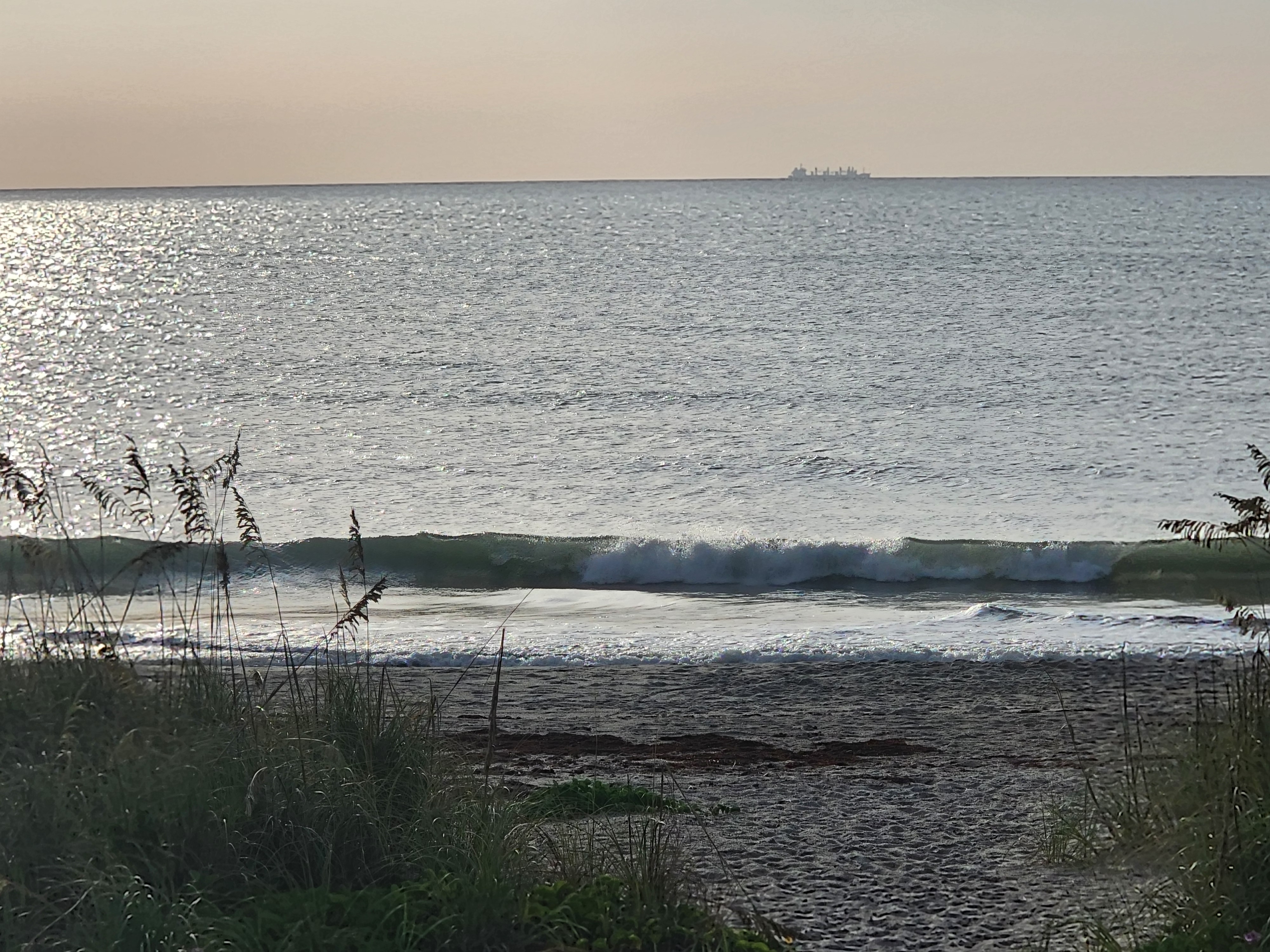 A small clean wave breaking nearshore under a warm hazy sunrise sky, with a freighter visible on the horizon and sea oats silhouetted in the foreground.