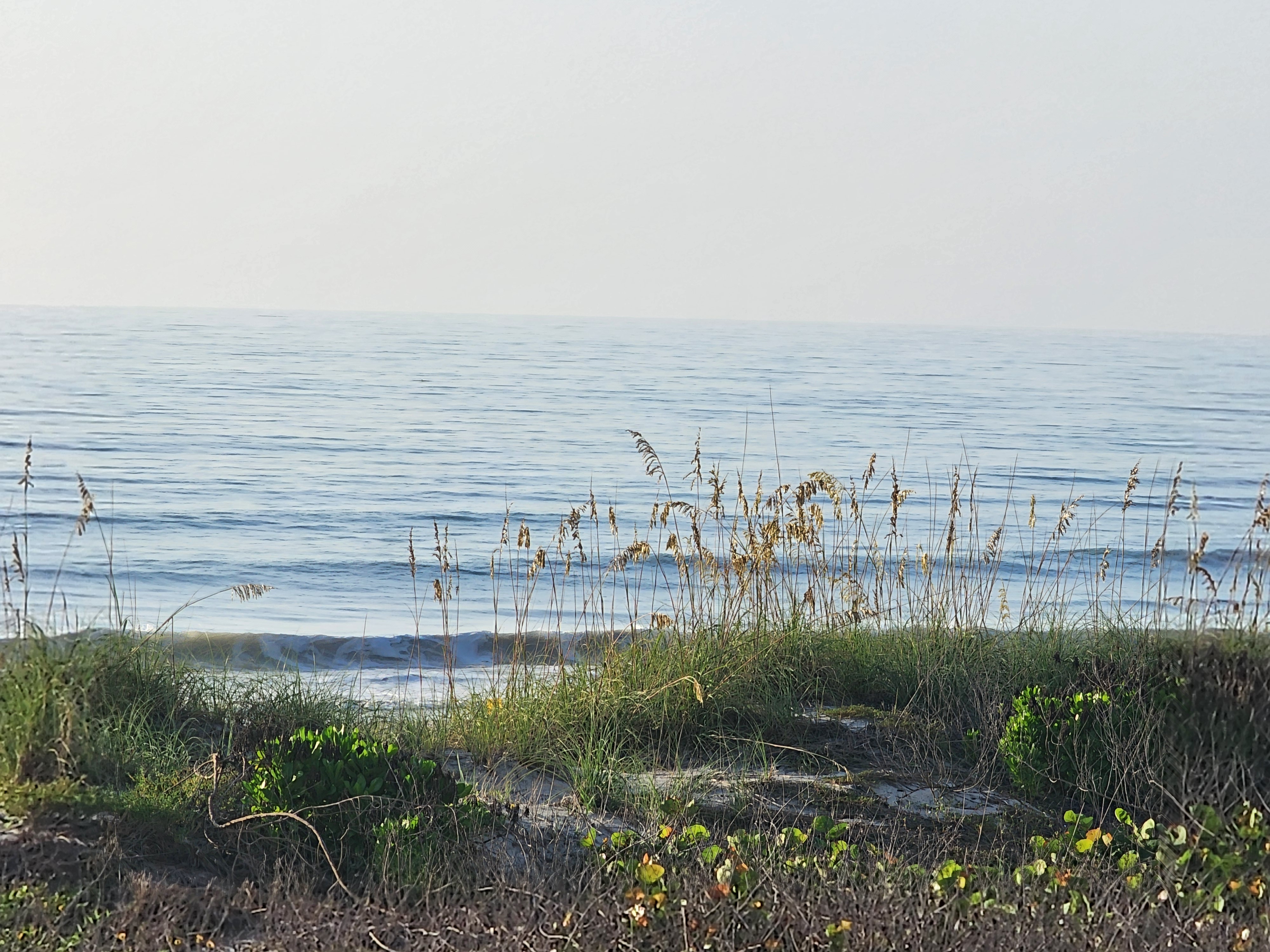 Sea oats and dune grass frame a calm blue-green ocean with a small wave breaking under a hazy morning sky
