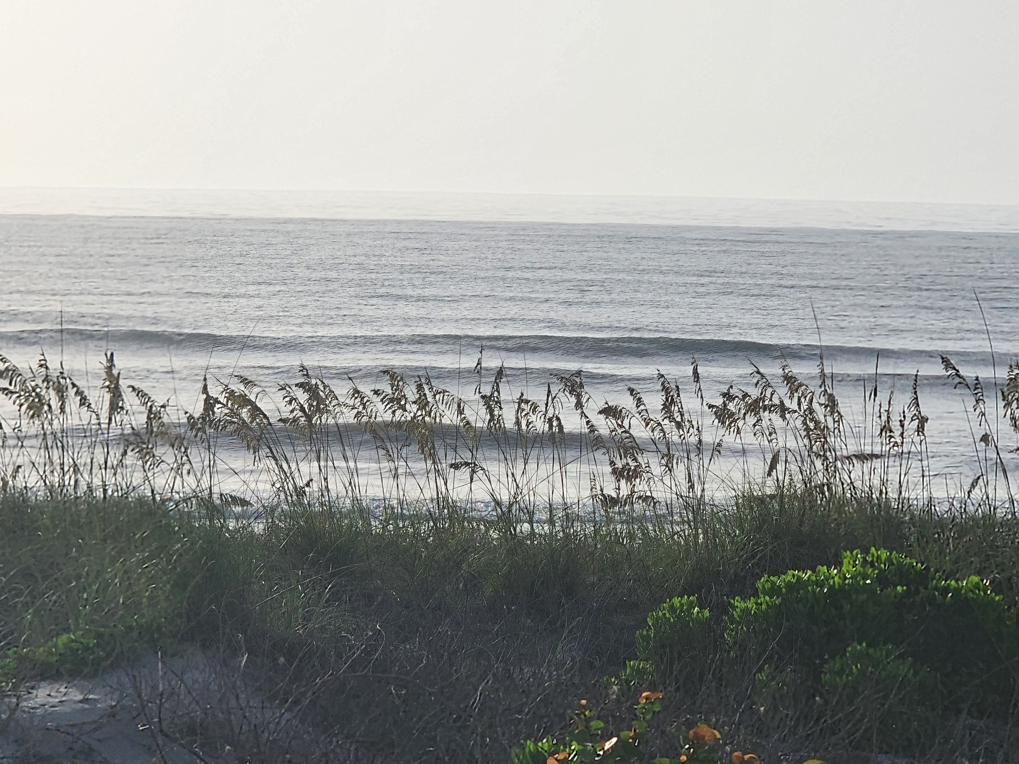Clean lines breaking under hazy skies seen through beach dune grass, South Cocoa Beach, July 2026