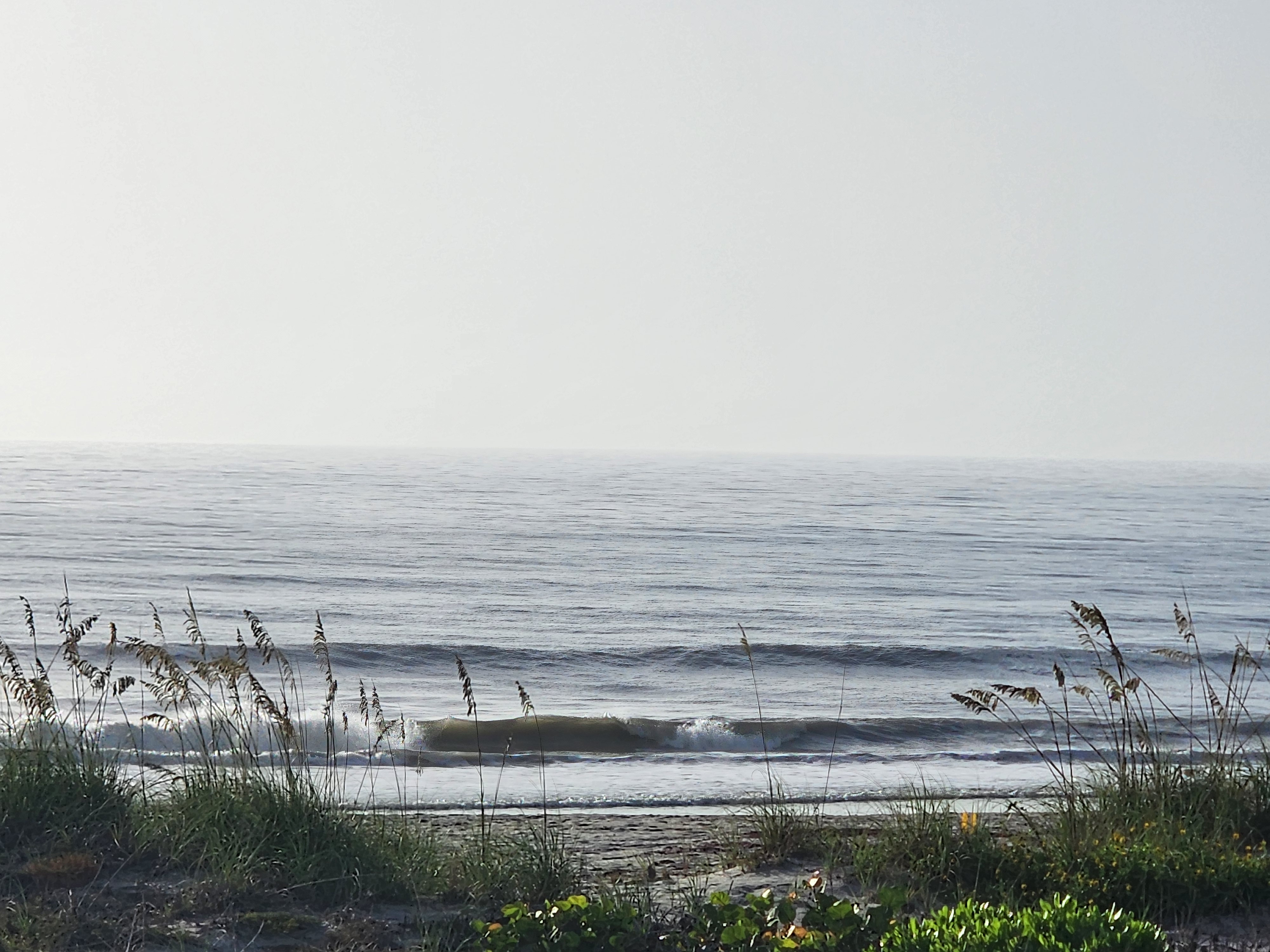 Clean wave breaking beyond swaying sea oats in early morning haze, South Cocoa Beach, July 2026