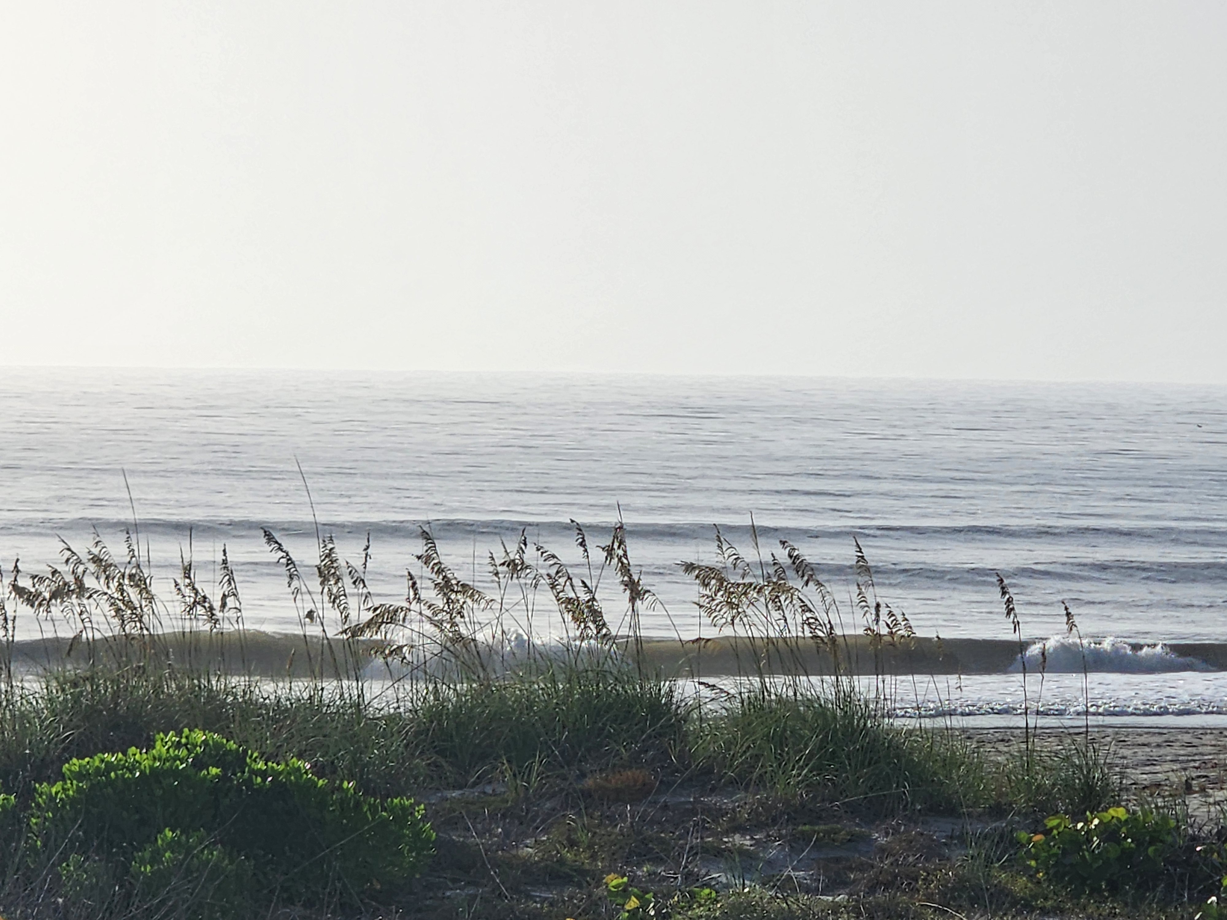 Sea oats and dune vegetation framing the surf and sand path, South Cocoa Beach, July 2026