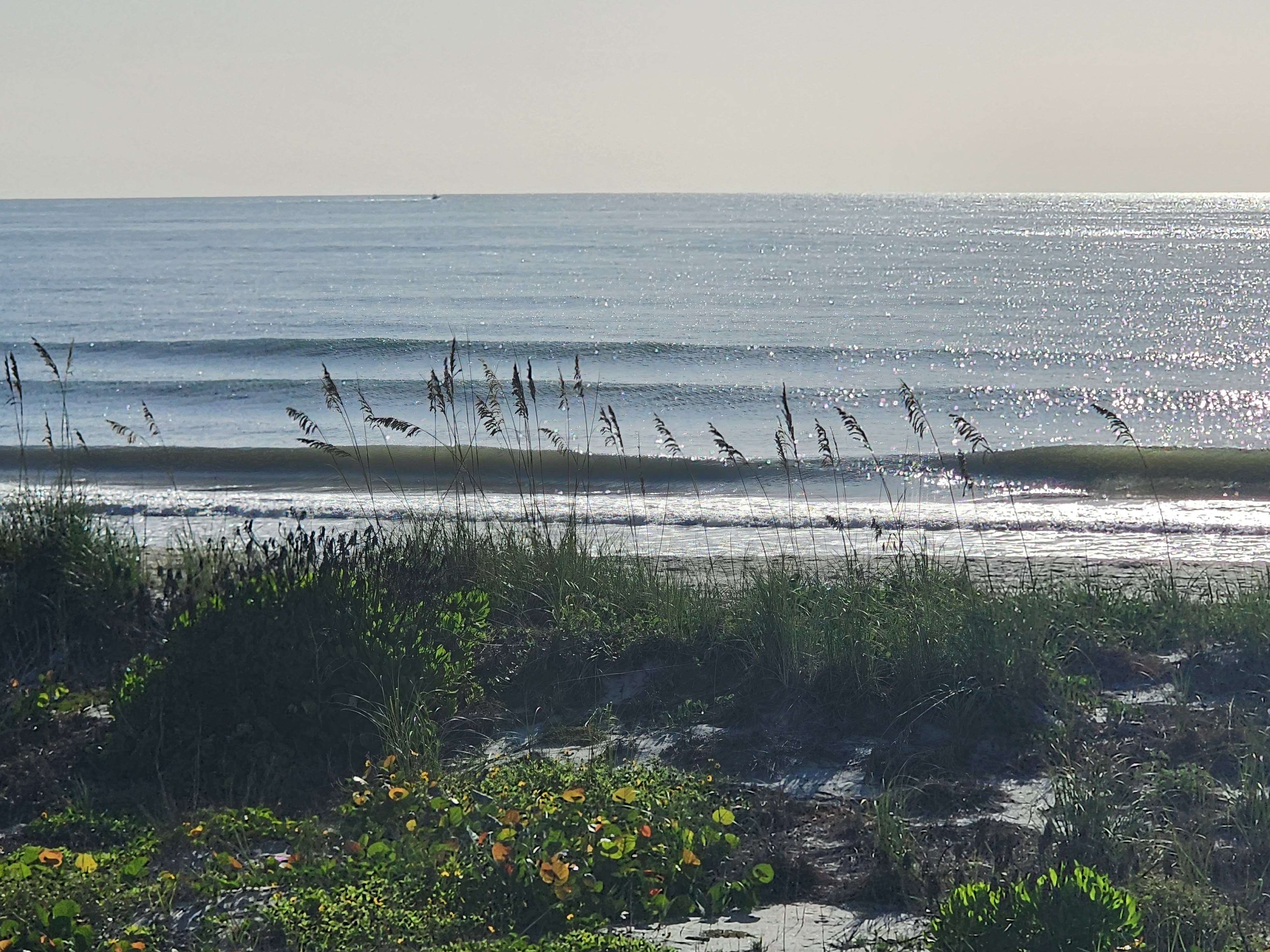 Sunlit waves peeling with sea oats framing the shot at low tide, South Cocoa Beach, July 2026