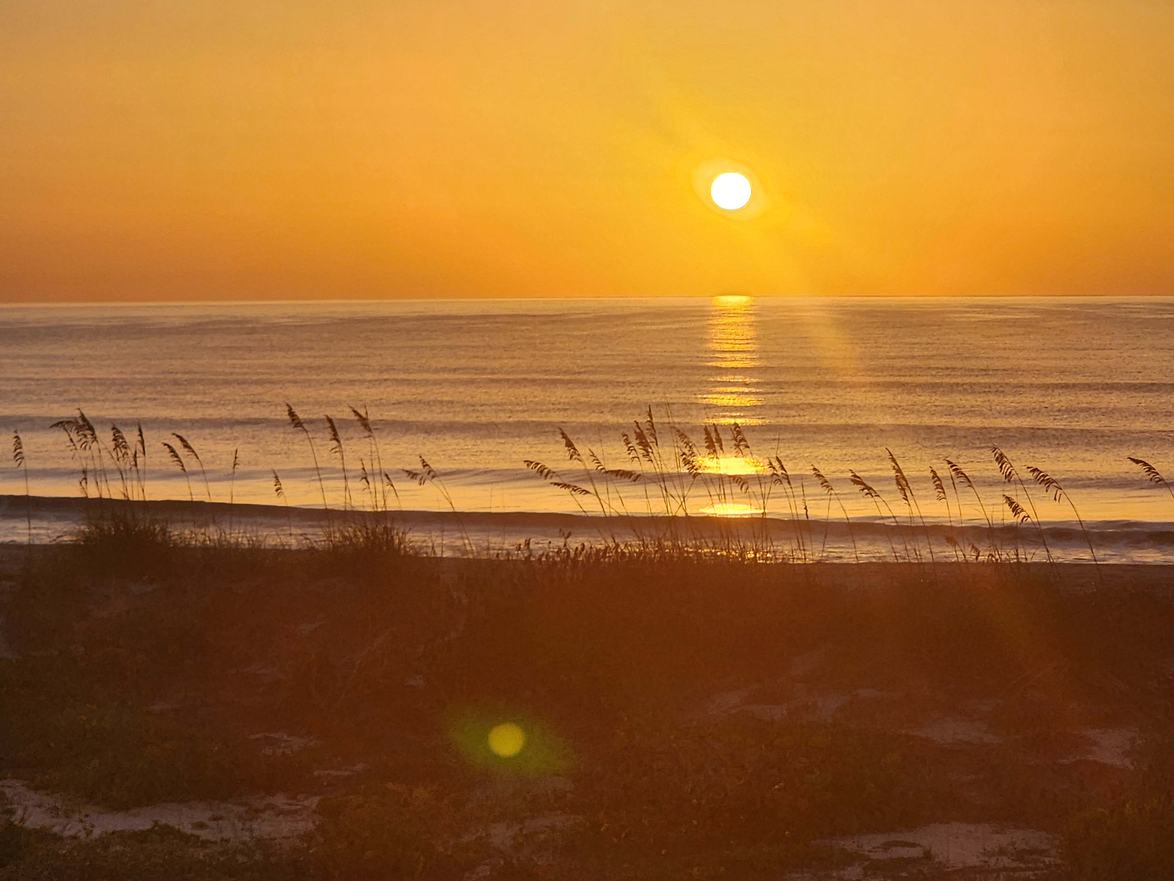Golden sunrise reflecting off the ocean with sea oats silhouetted in the foreground, South Cocoa Beach, July 2026