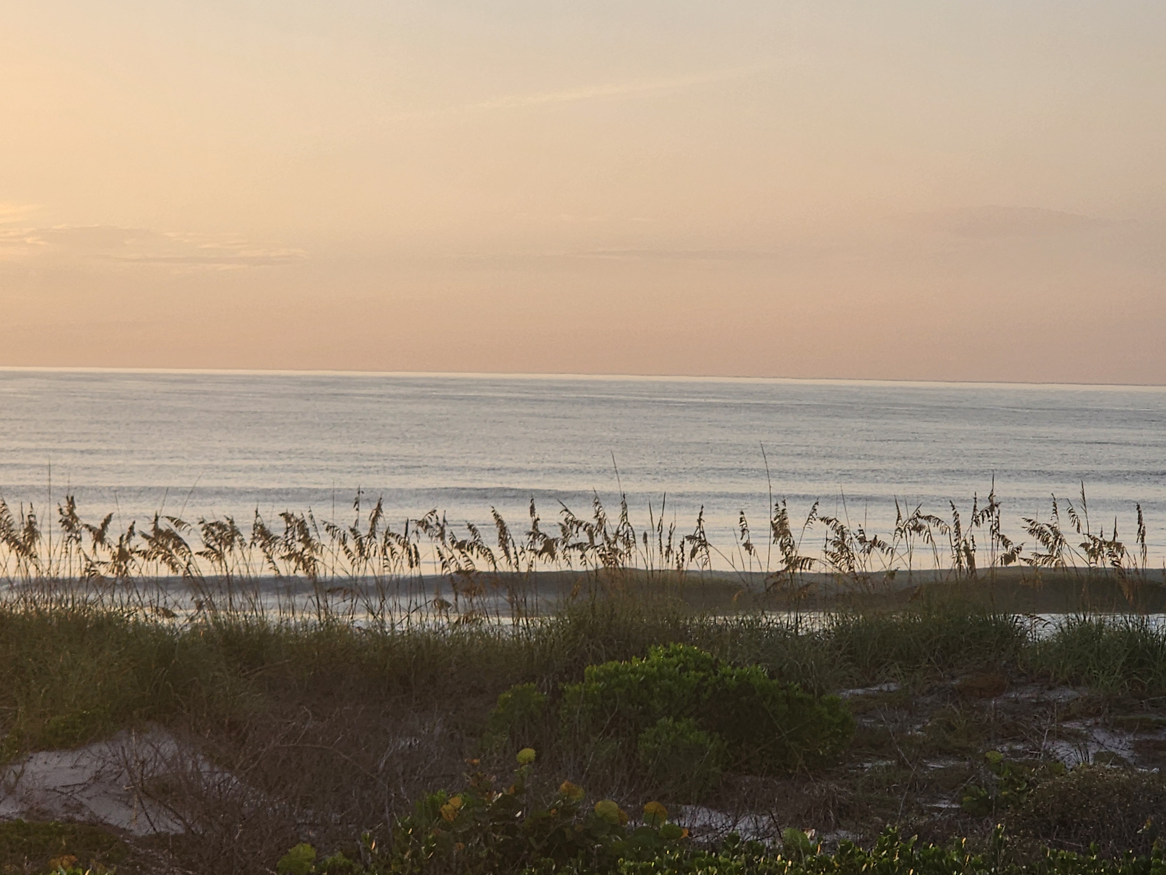 Soft pink dawn sky over calm ocean with sea oats framing the shot, South Cocoa Beach, July 2026