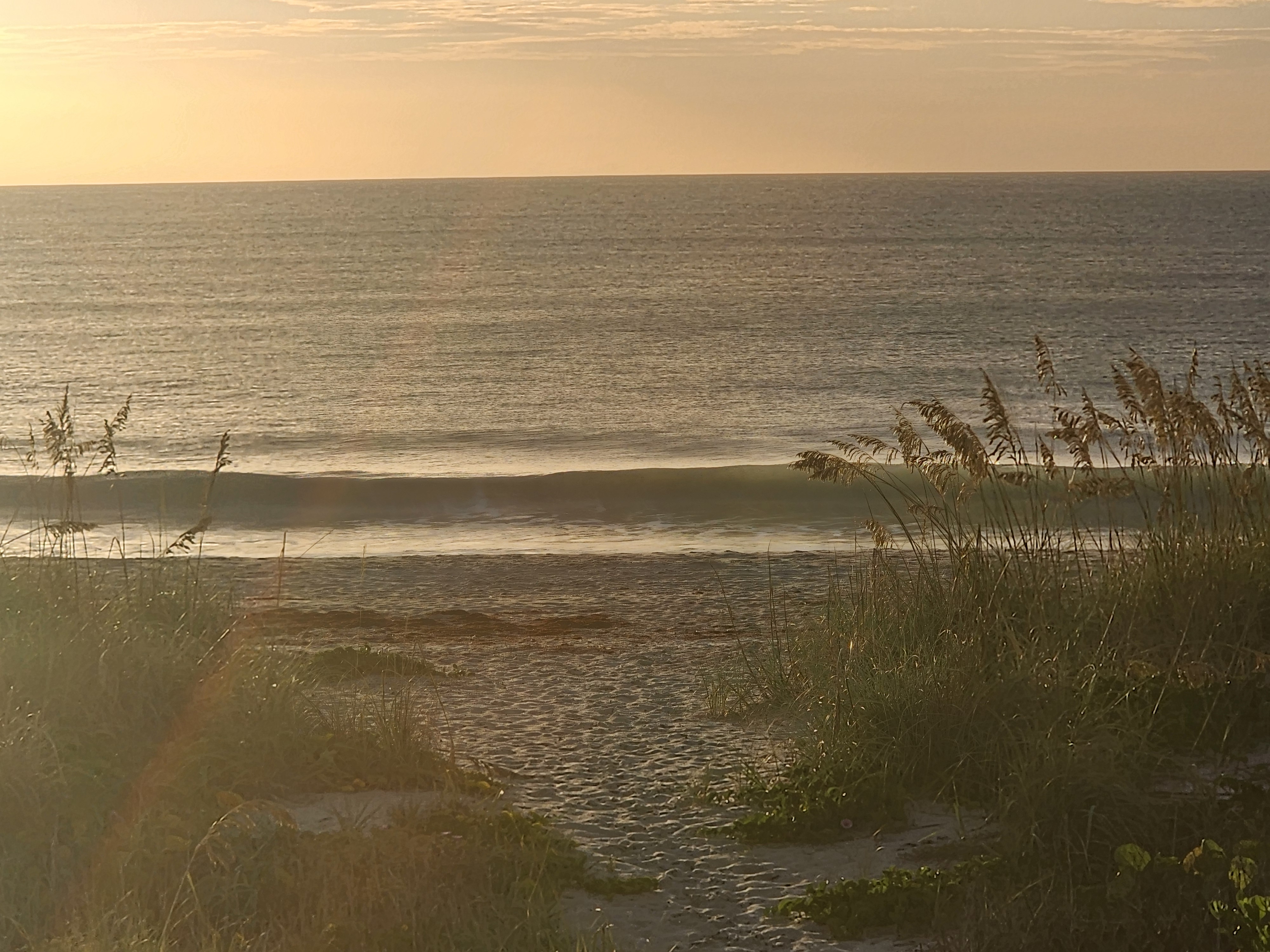 Small wave breaking near shore with sea oats framing the golden light, South Cocoa Beach, July 2026