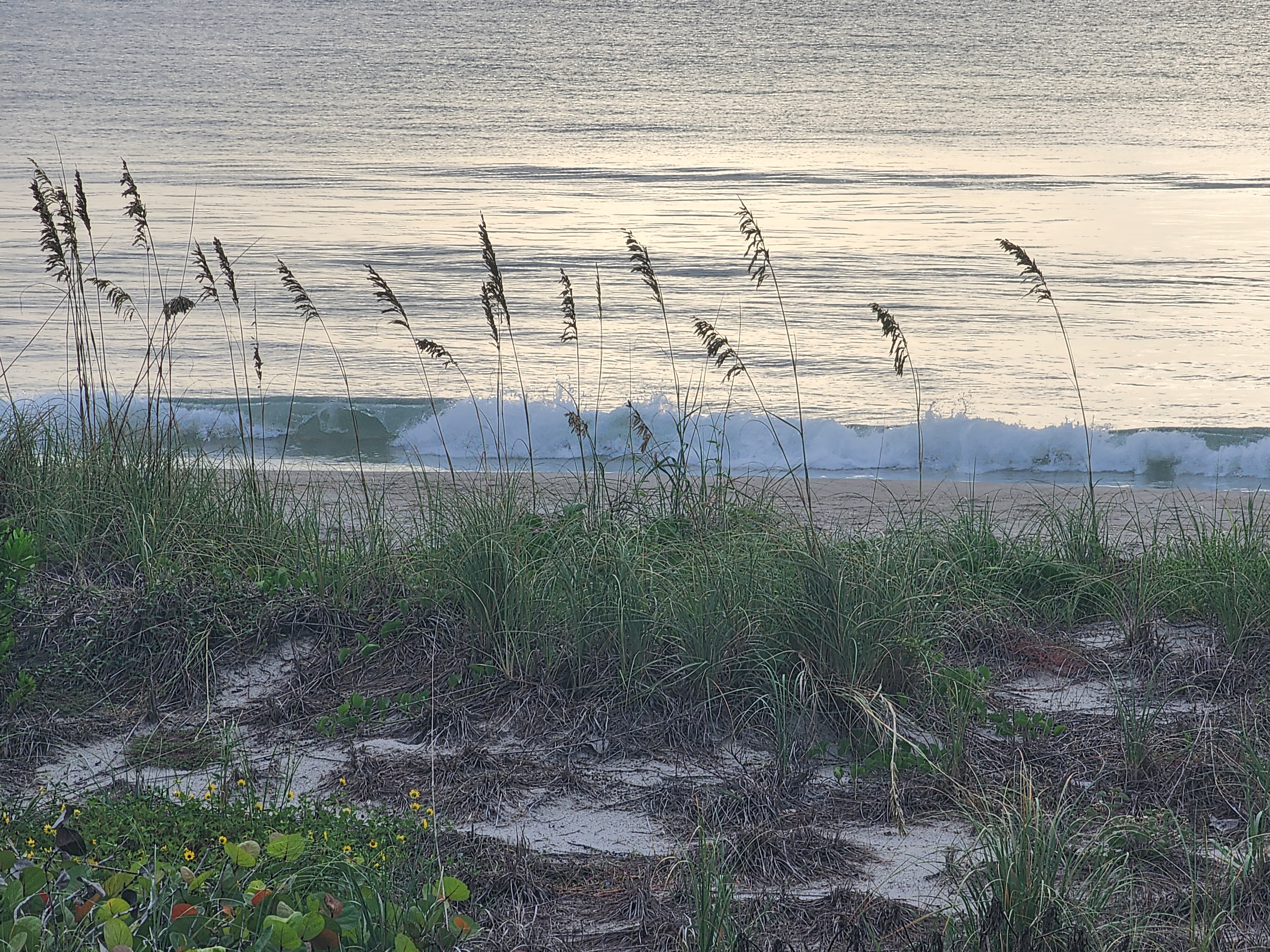 Small flat waves rolling in under overcast skies with sea oats in the foreground, South Cocoa Beach, July 2026