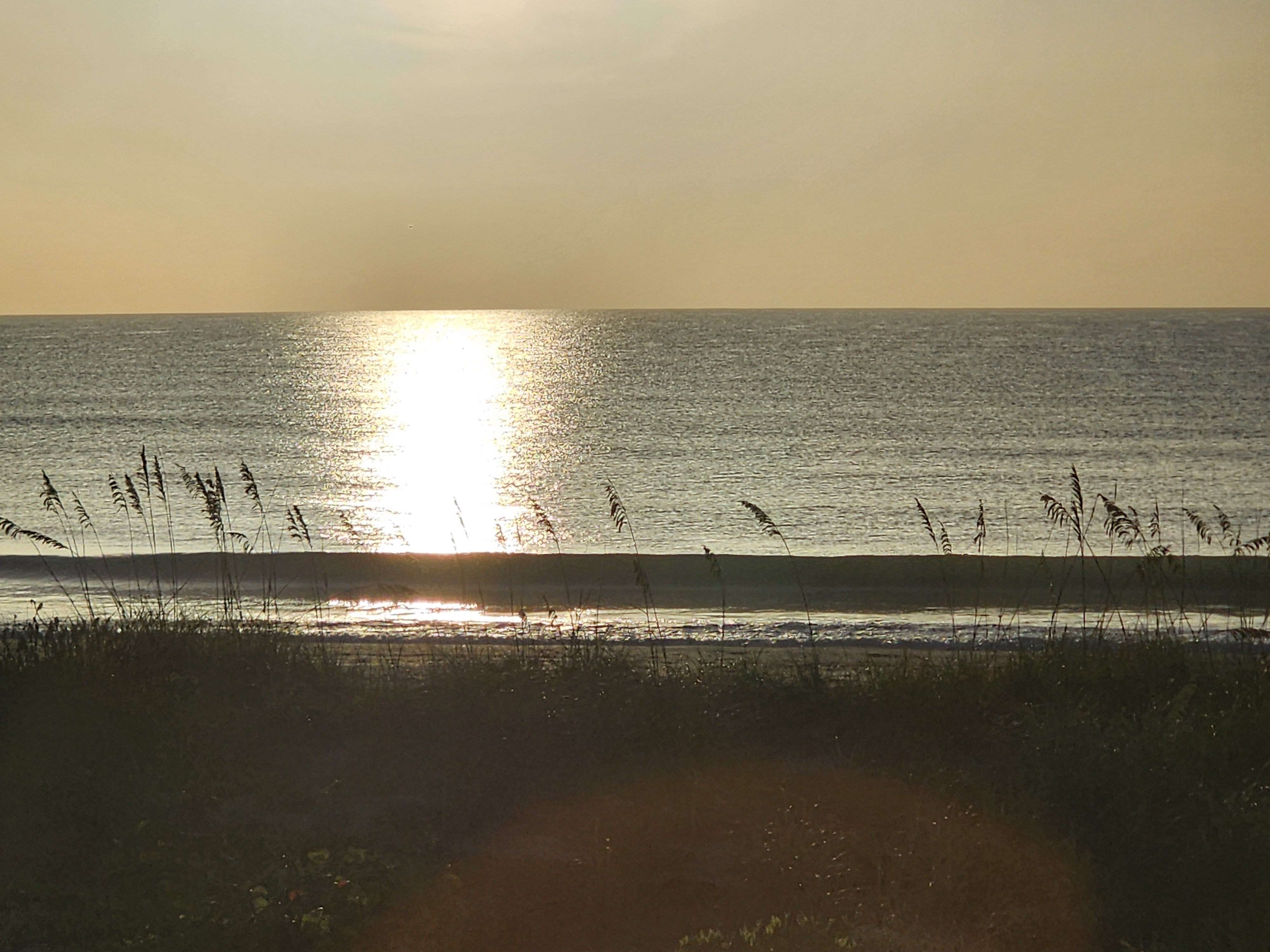 Golden hazy sunrise over calm ocean with bright sun reflection on the water, sea oats silhouetted in foreground
