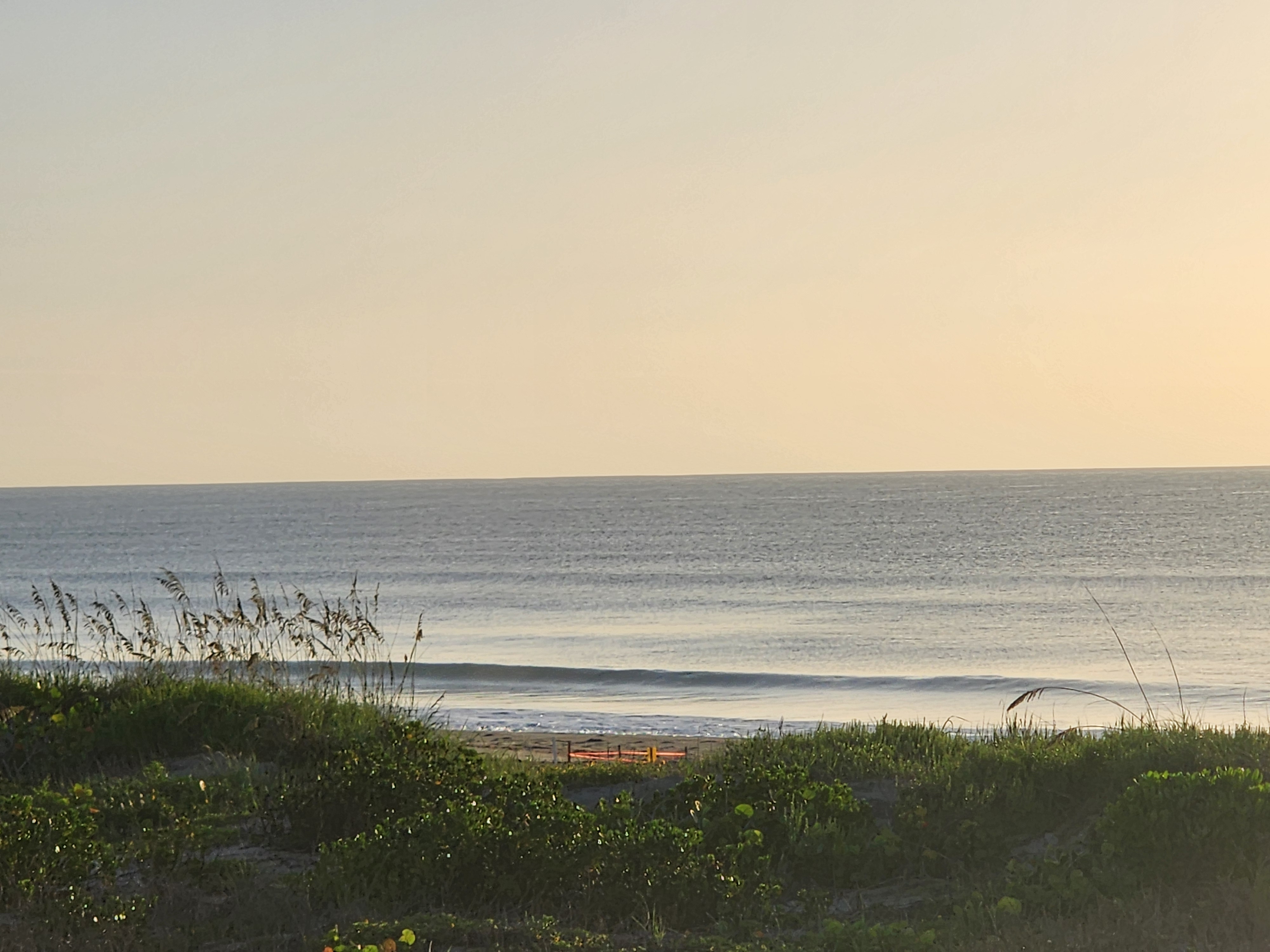 Small clean wave breaking near shore at Picnic Tables, sea oats framing the view, red flag marker visible on beach