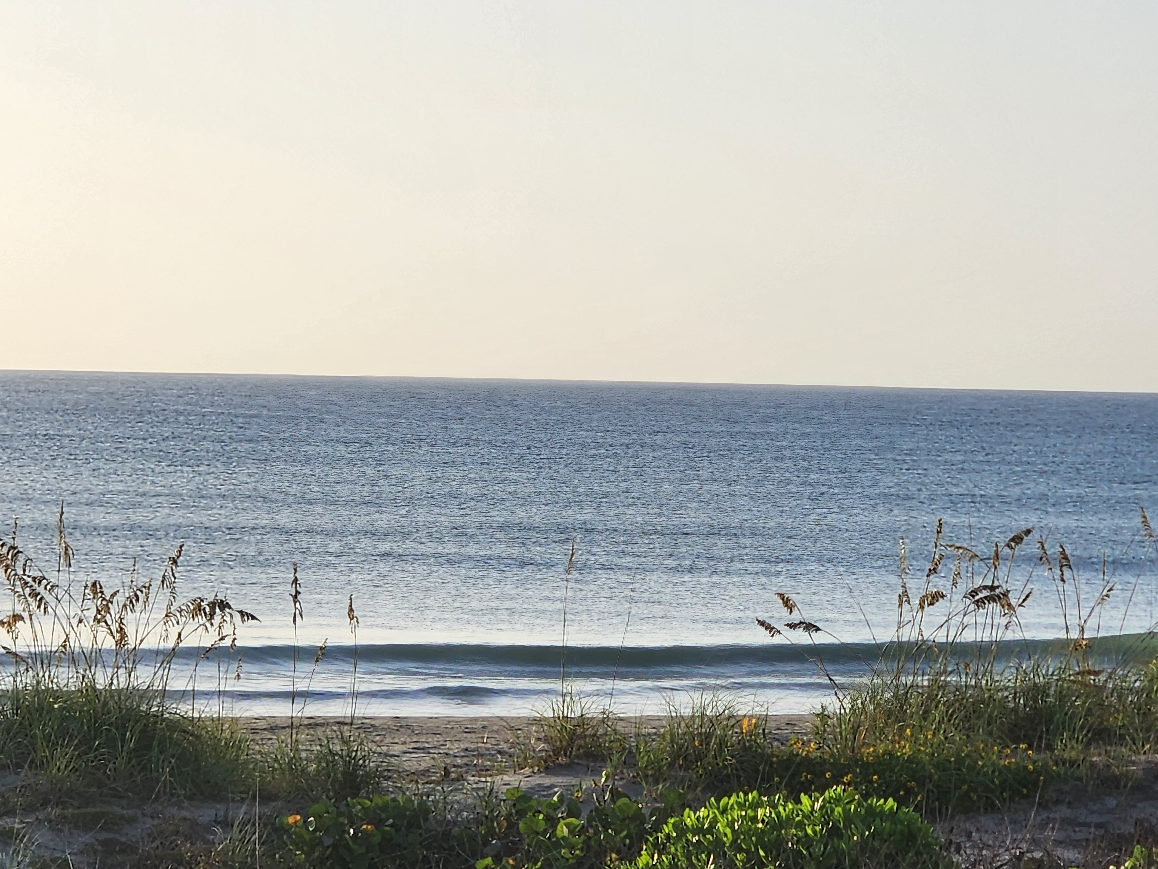 Small clean wave breaking with green water and light offshore texture