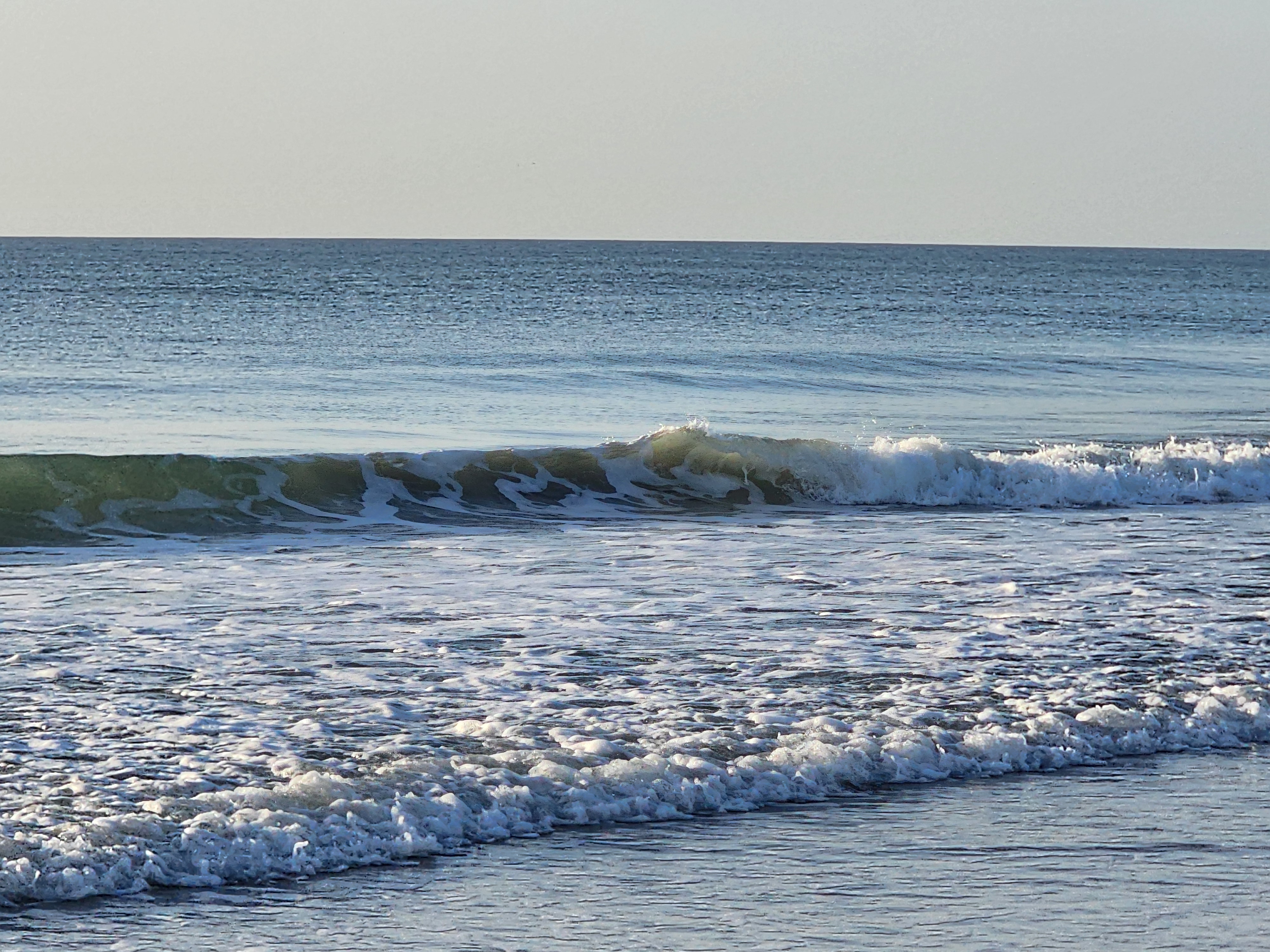 Calm glassy wave seen through beach grass and dune vegetation