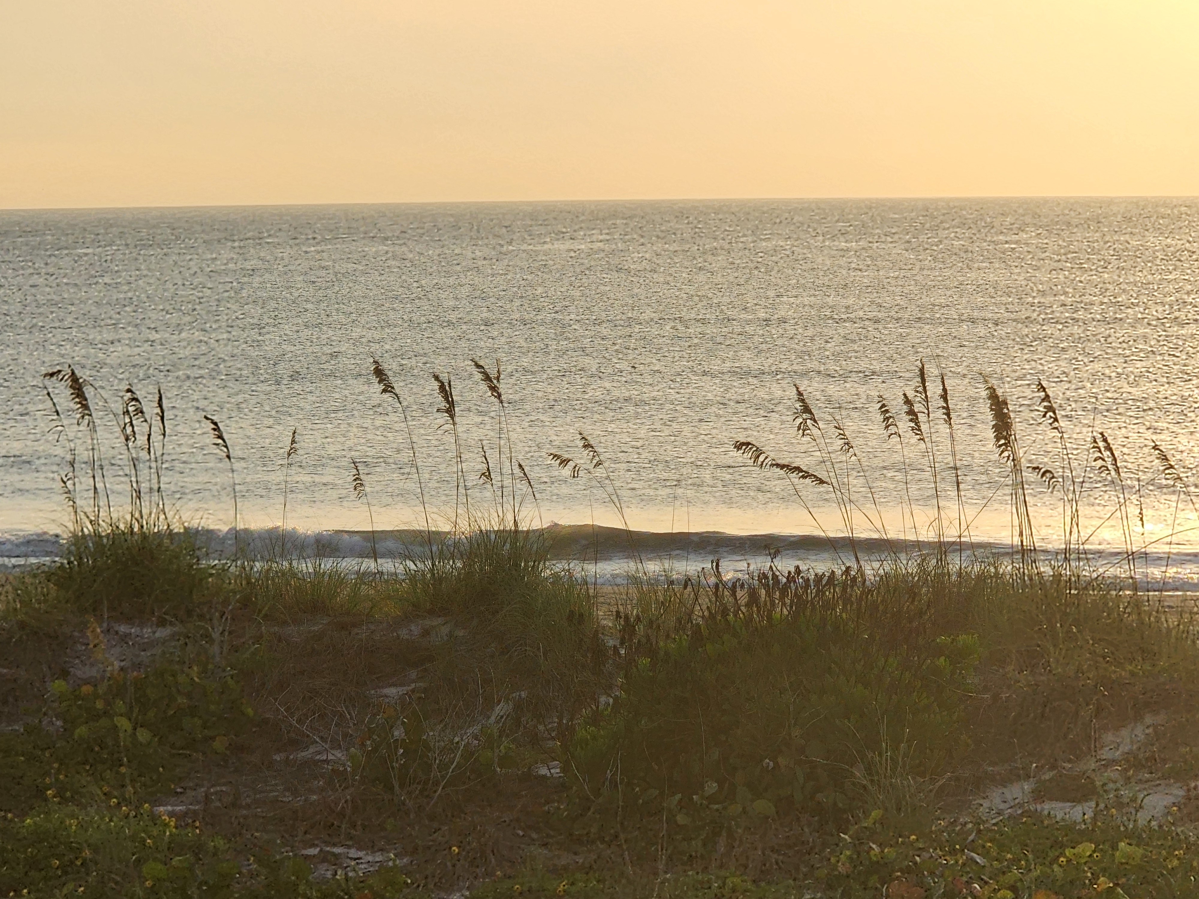 Sun low over the water with a wide gold reflection path stretching to the shorebreak, dune grass in silhouette