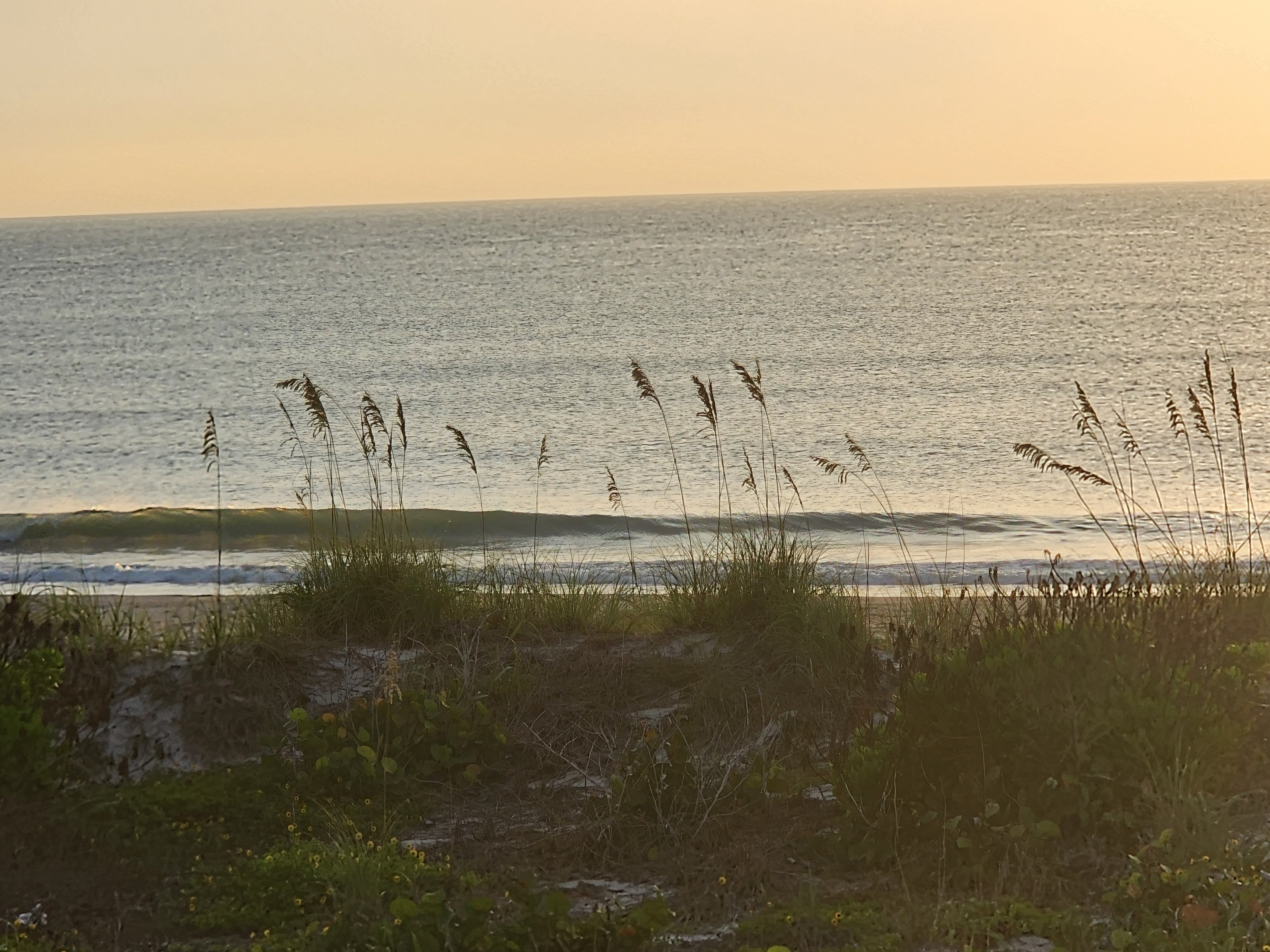Athena at the top of the dune crossover stairs looking out toward the sunrise and the beach path