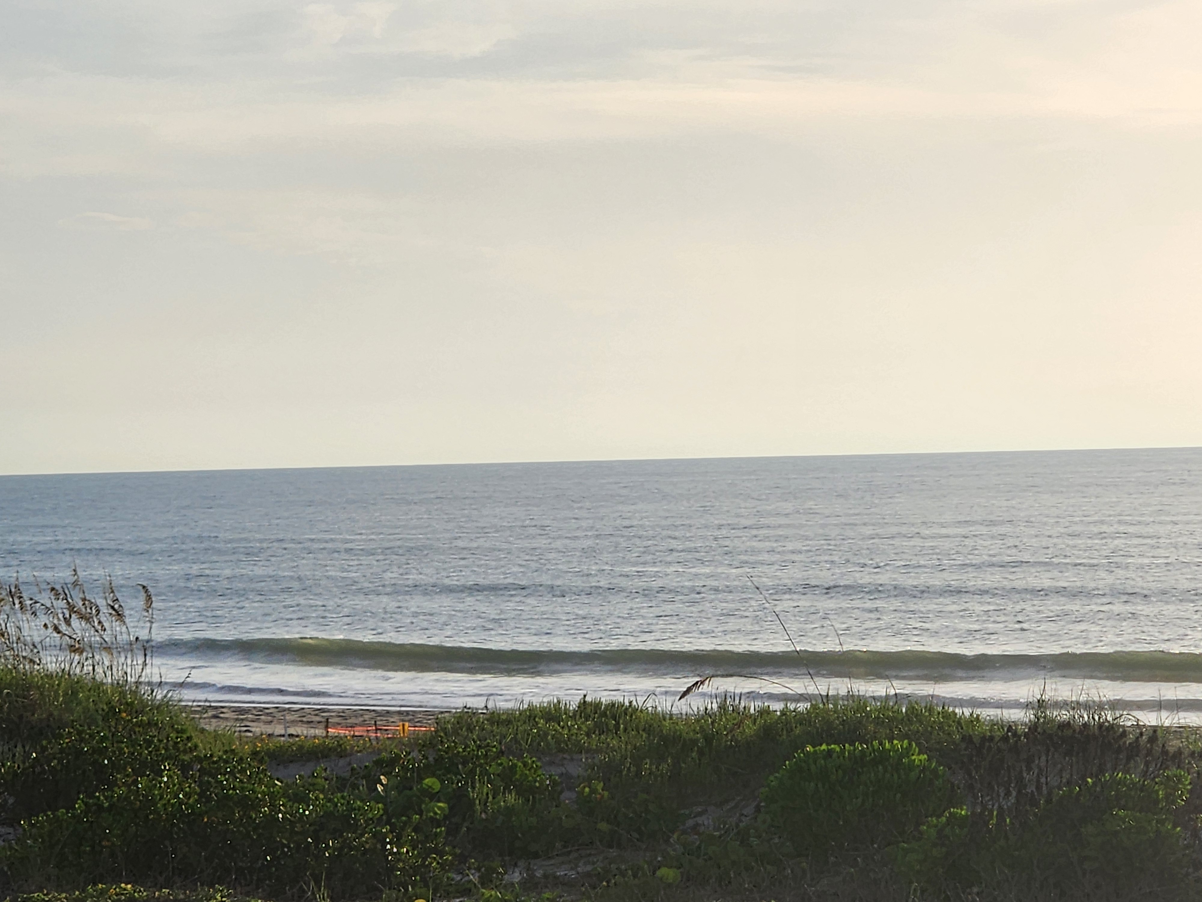 Small clean wave peeling near shore at South Cocoa Beach, sea oats and dune vegetation in the foreground under a hazy morning sky