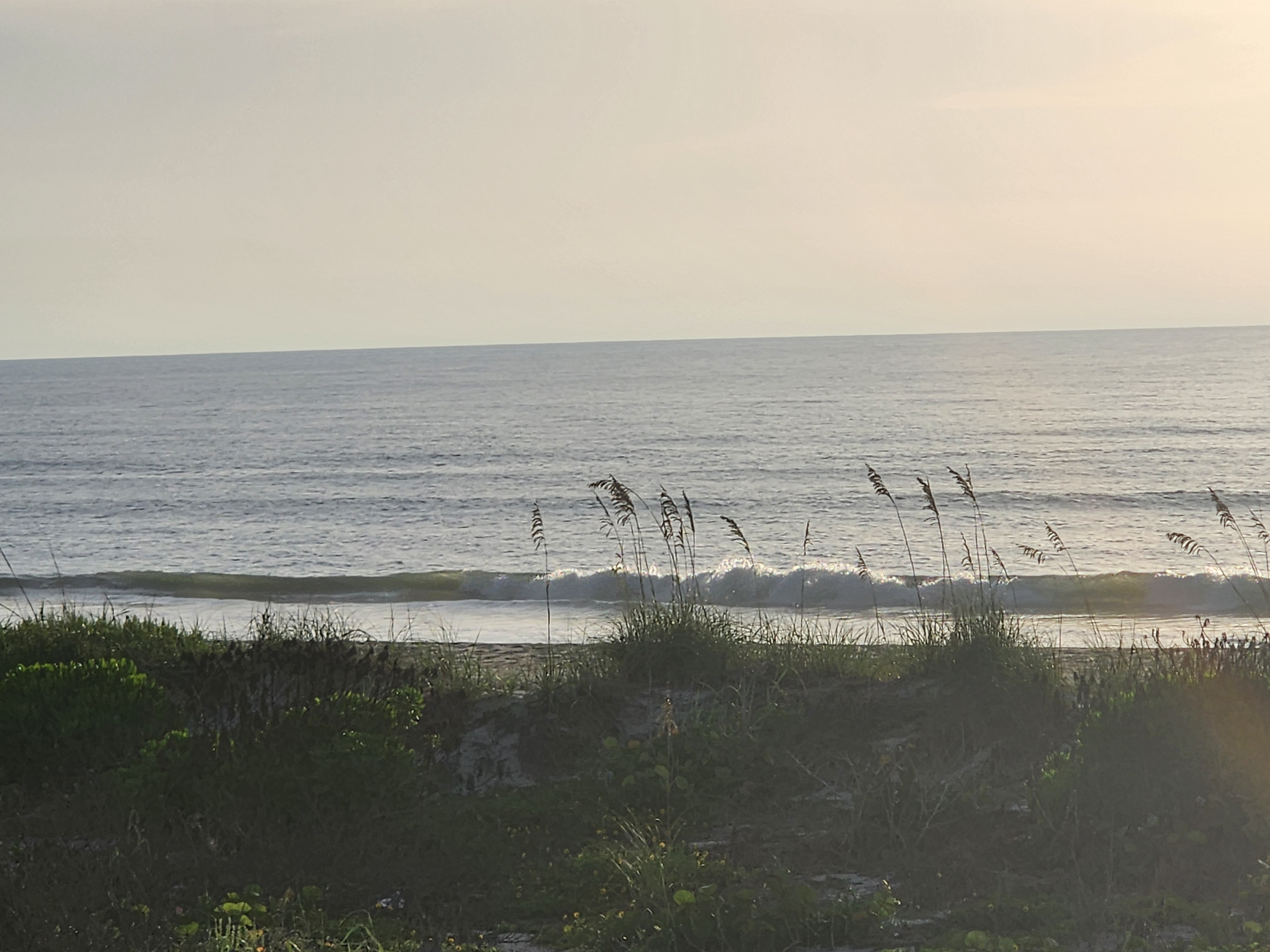 Sea oats silhouetted against the morning light with a chest-high shorebreak line feathering behind them