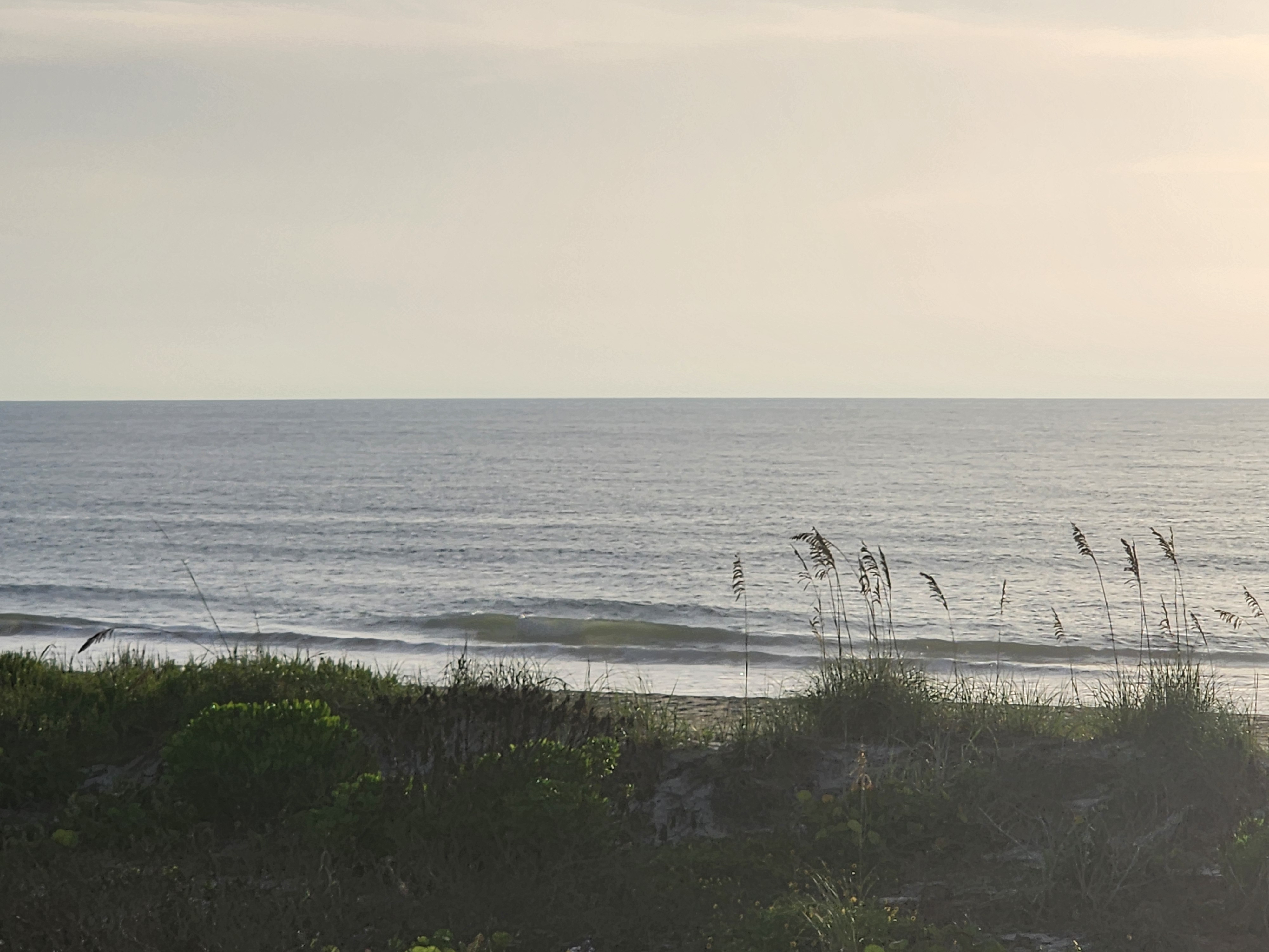 Wide view of the beach and light surf through the dune grass, glassy ocean stretching to a soft horizon
